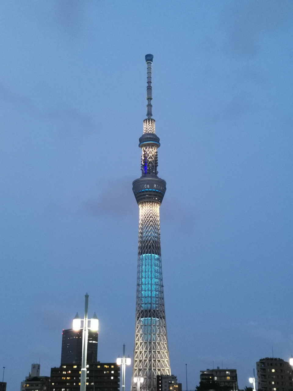 东京晴空塔多高图片