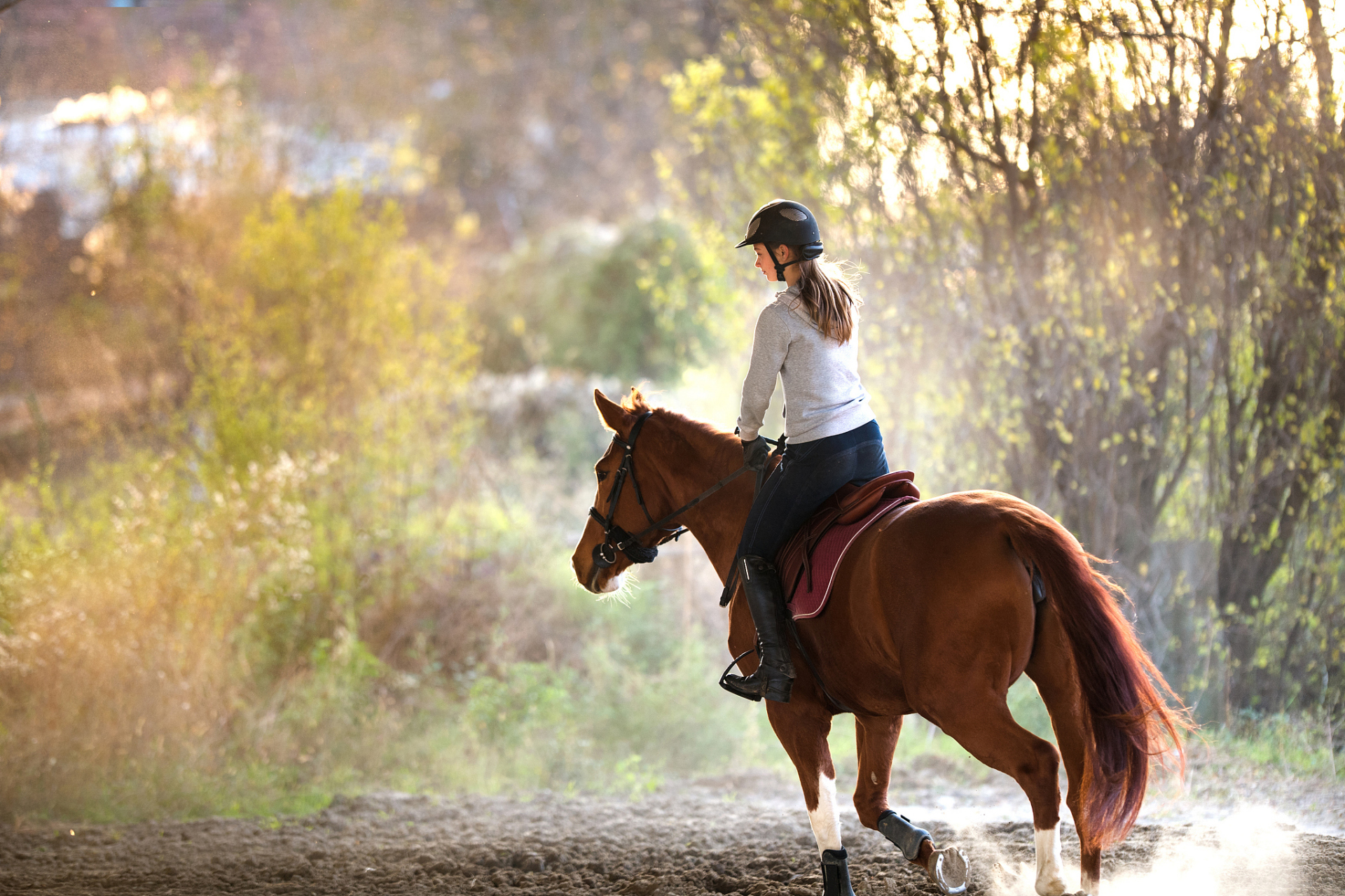 近日网上纷纷报道了"女子在景点骑马摔断11颗牙",从伤残程度来看,摔断