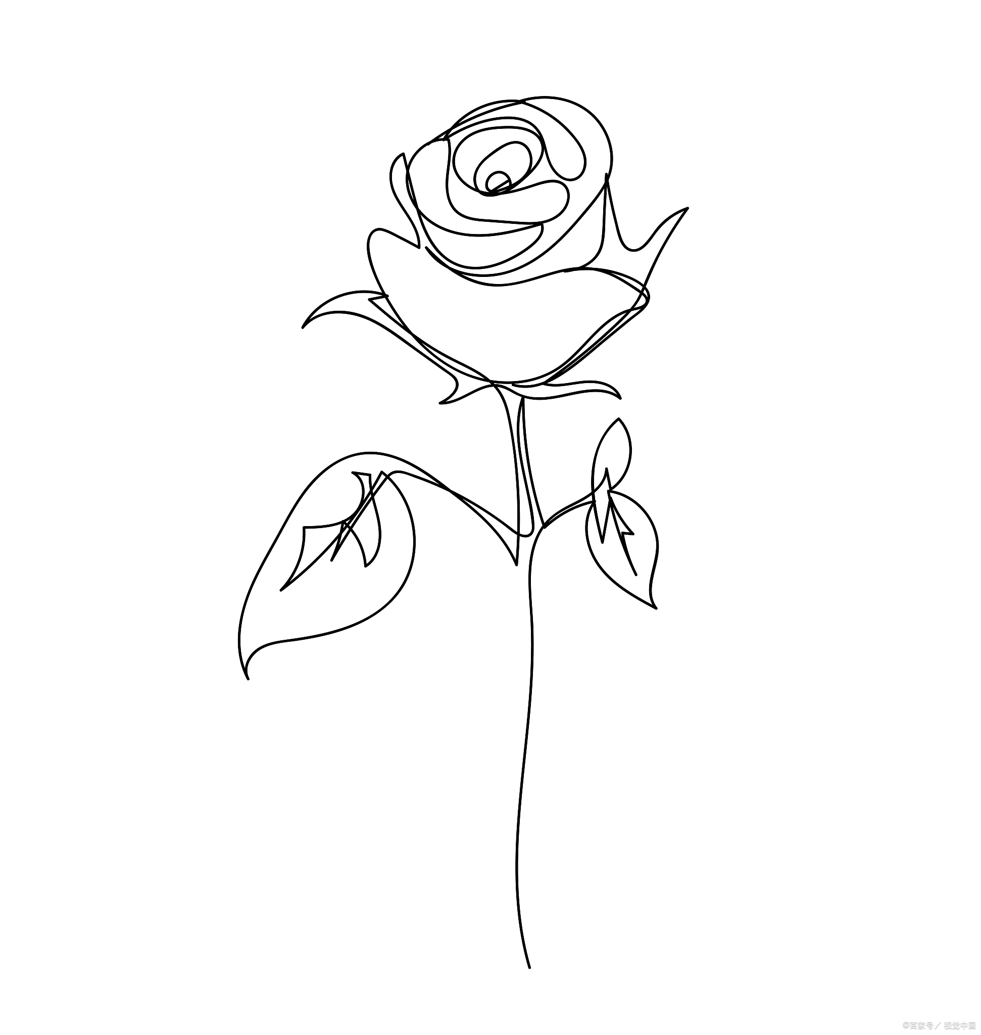 动态连更挑战# 玫瑰花怎么画高级