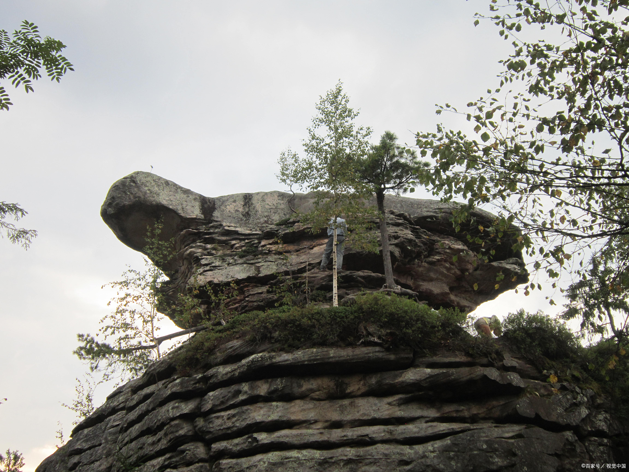 "抬头望见嶙峋怪石堆叠牯牛降拴牛石庐山吼虎岭图片清河镇龙爪奇峰