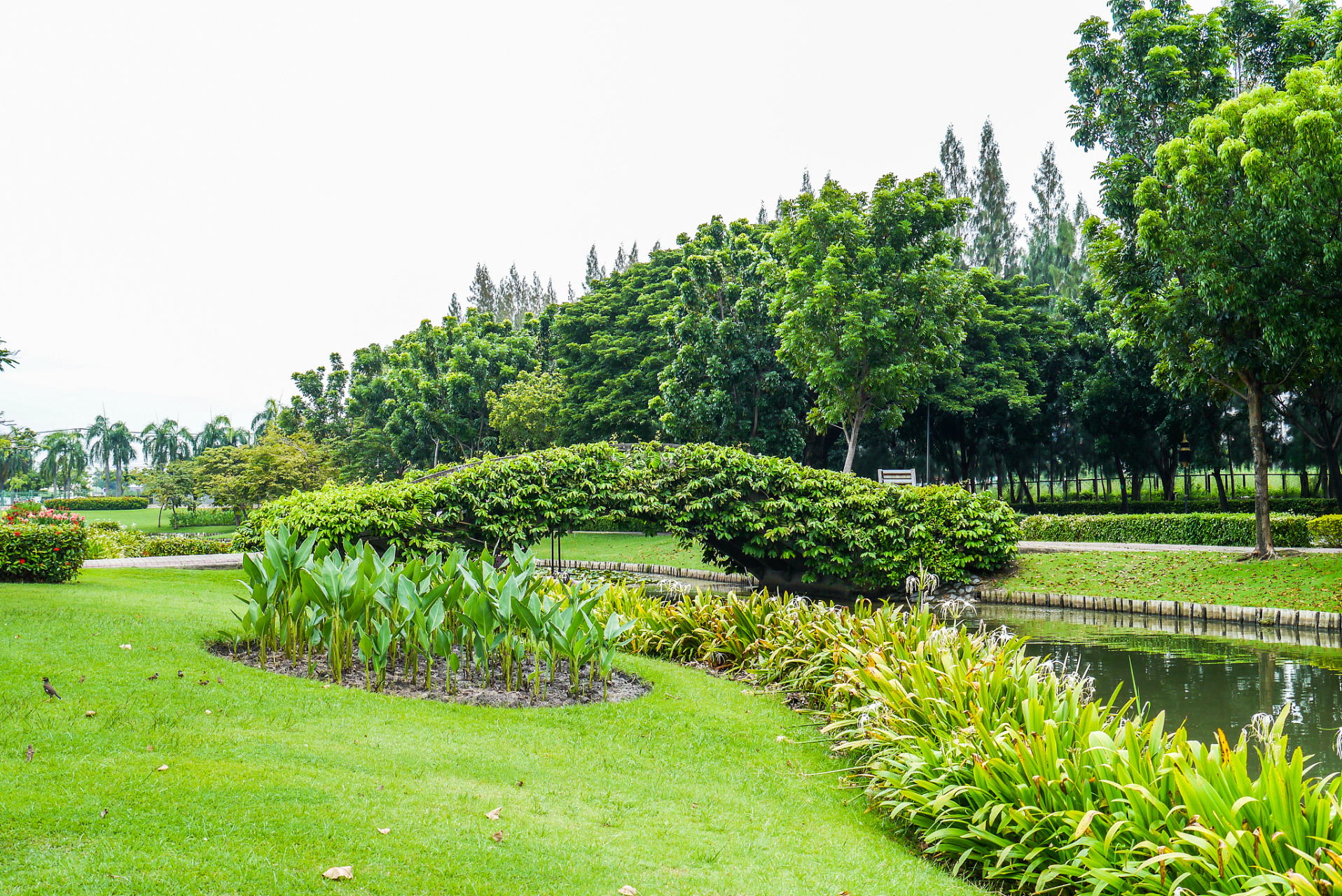 亲爱的朋友们,位于海南省海口市龙华区的万绿园,就像是镶嵌在东部海岸