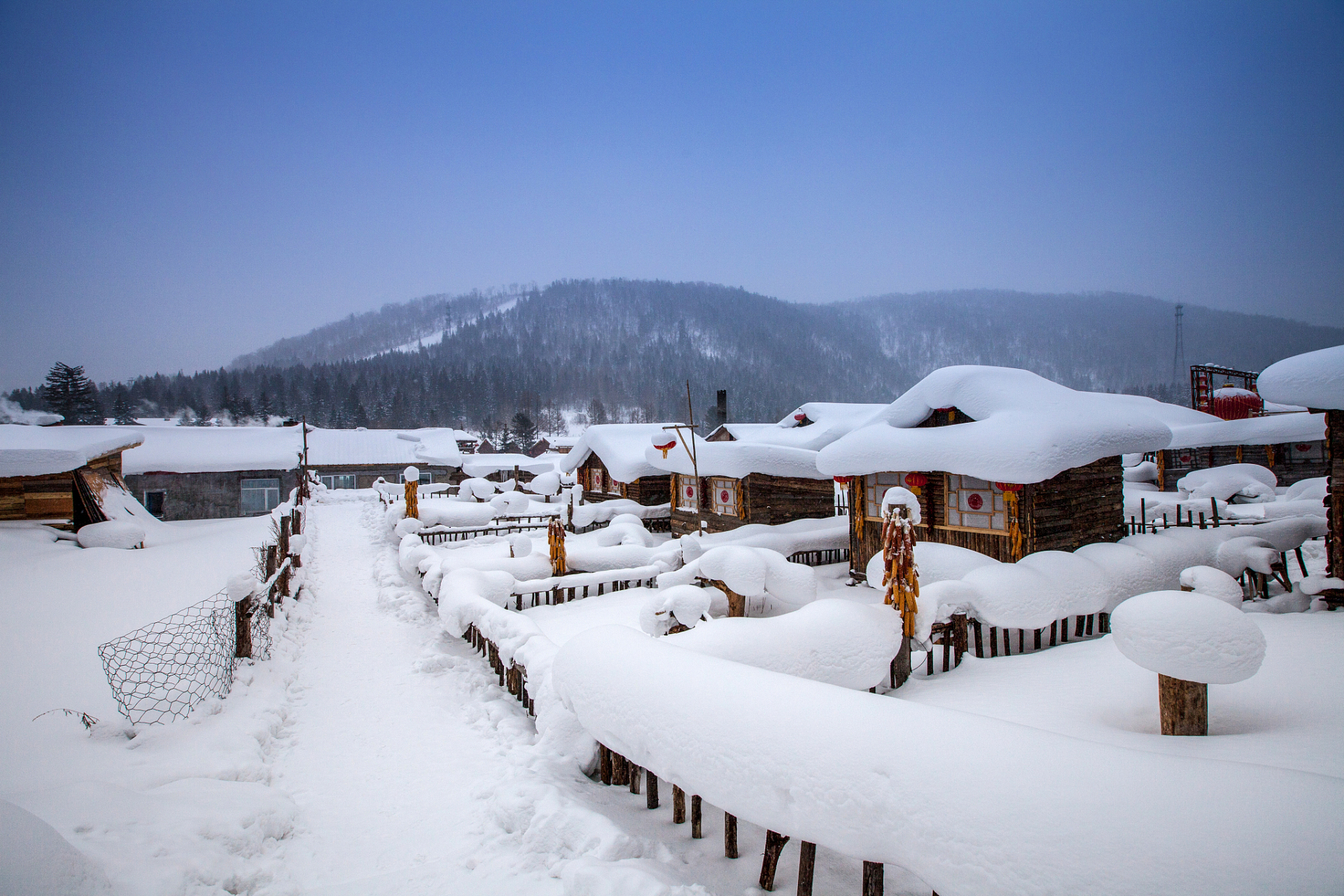 东北下雪照片图片