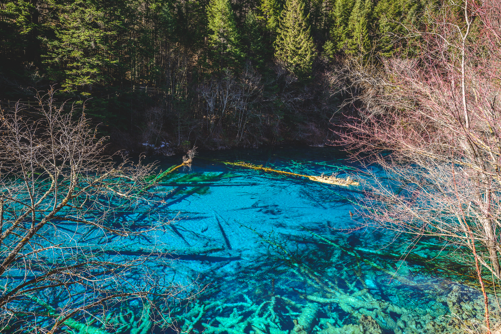 只需要继续往前走,便来到了五彩湖群.