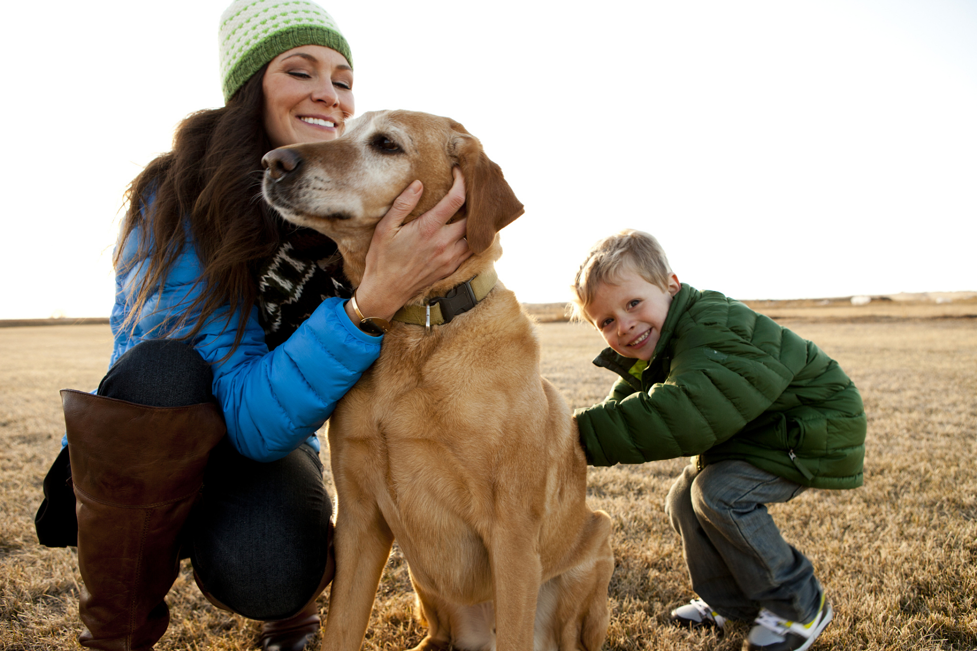 动物是人类最亲密的伙伴之一,我们与它们生活在一起已经数千年了.