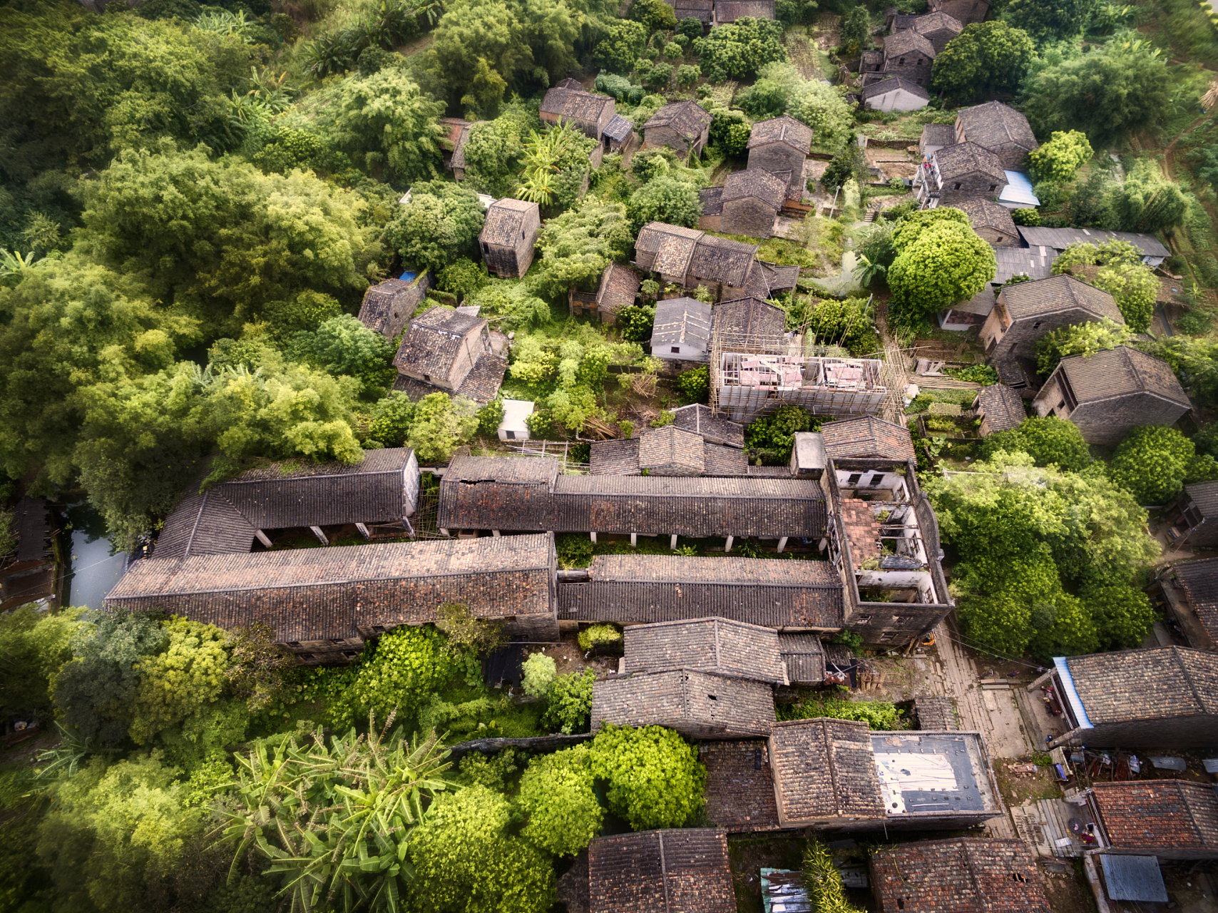 东阳画水镇林村,是一座被林海包裹的"世外桃源".