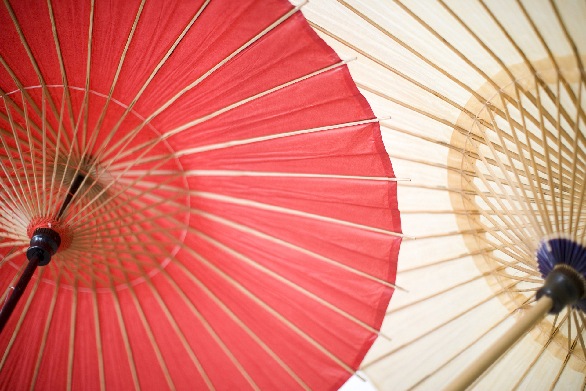 你不知道的"活化石",中国非遗 伞是一种人们在日常生活中常用的物品