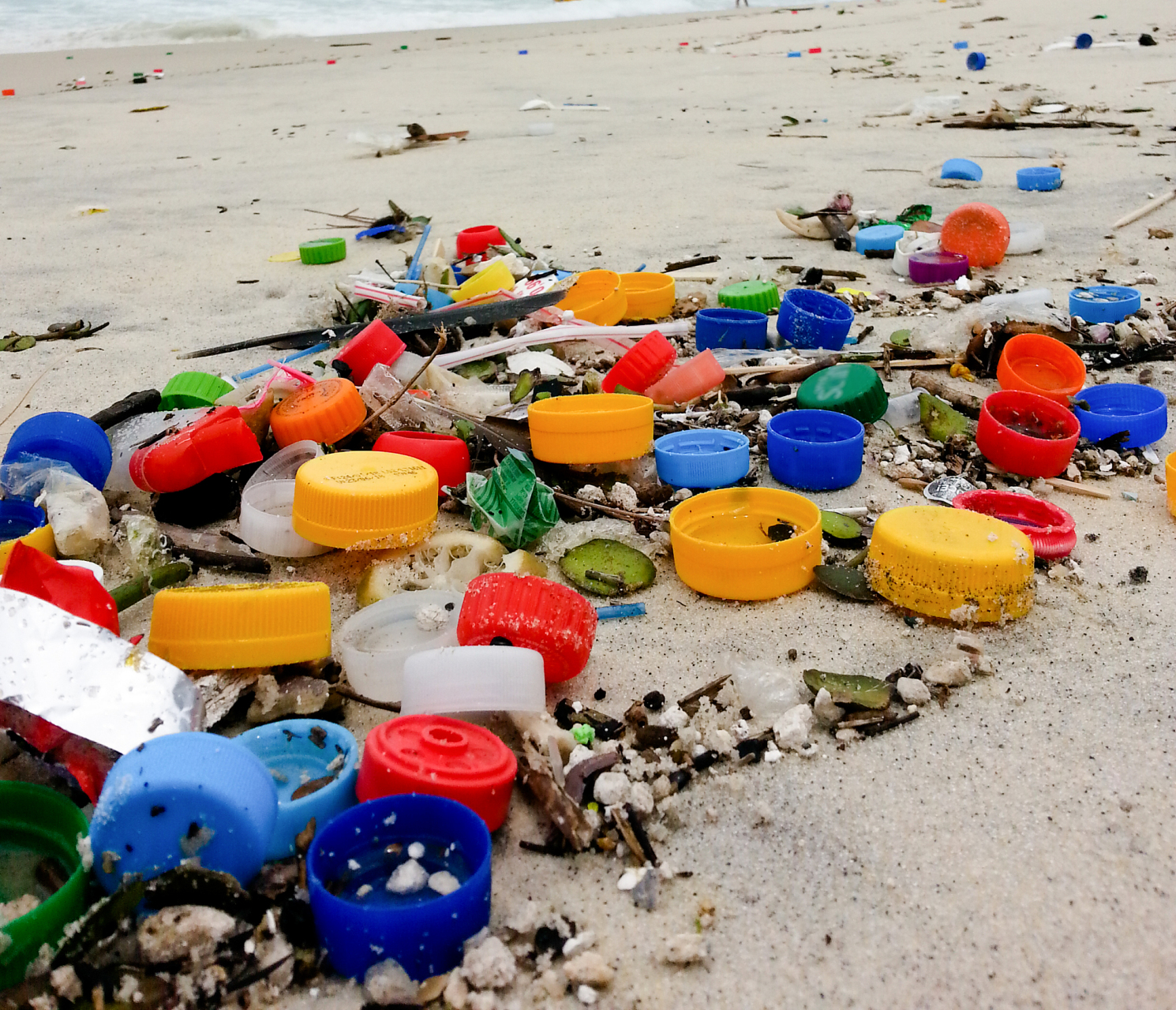 生活小科普# 在我们日常生活中,使用塑料制品已经成为了常态,它梦无