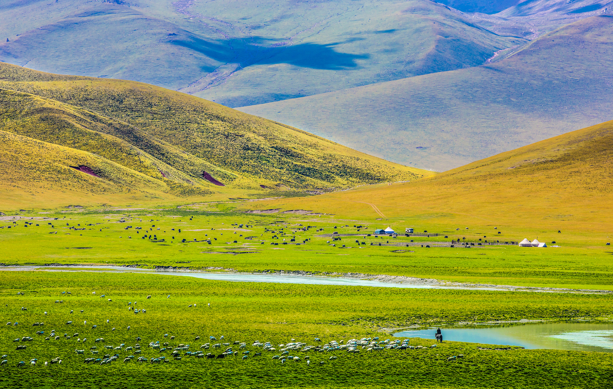 巴音布鲁克景区呀,位于新疆巴音郭楞蒙古自治州和静县的西北部,处在