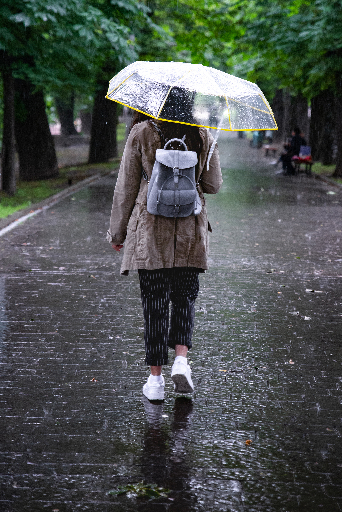 倾盆大雨韦恩图片