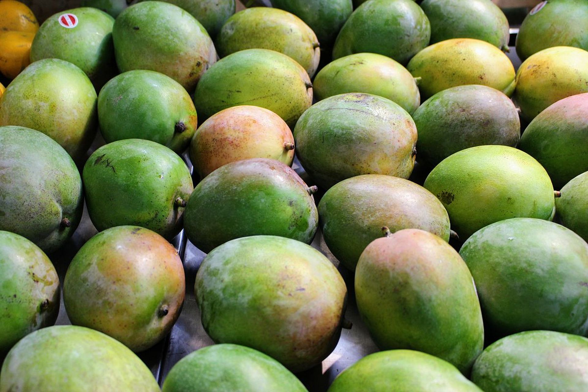 最近发现了一种超级好吃的水果90 就是四川特产的芒果啦!