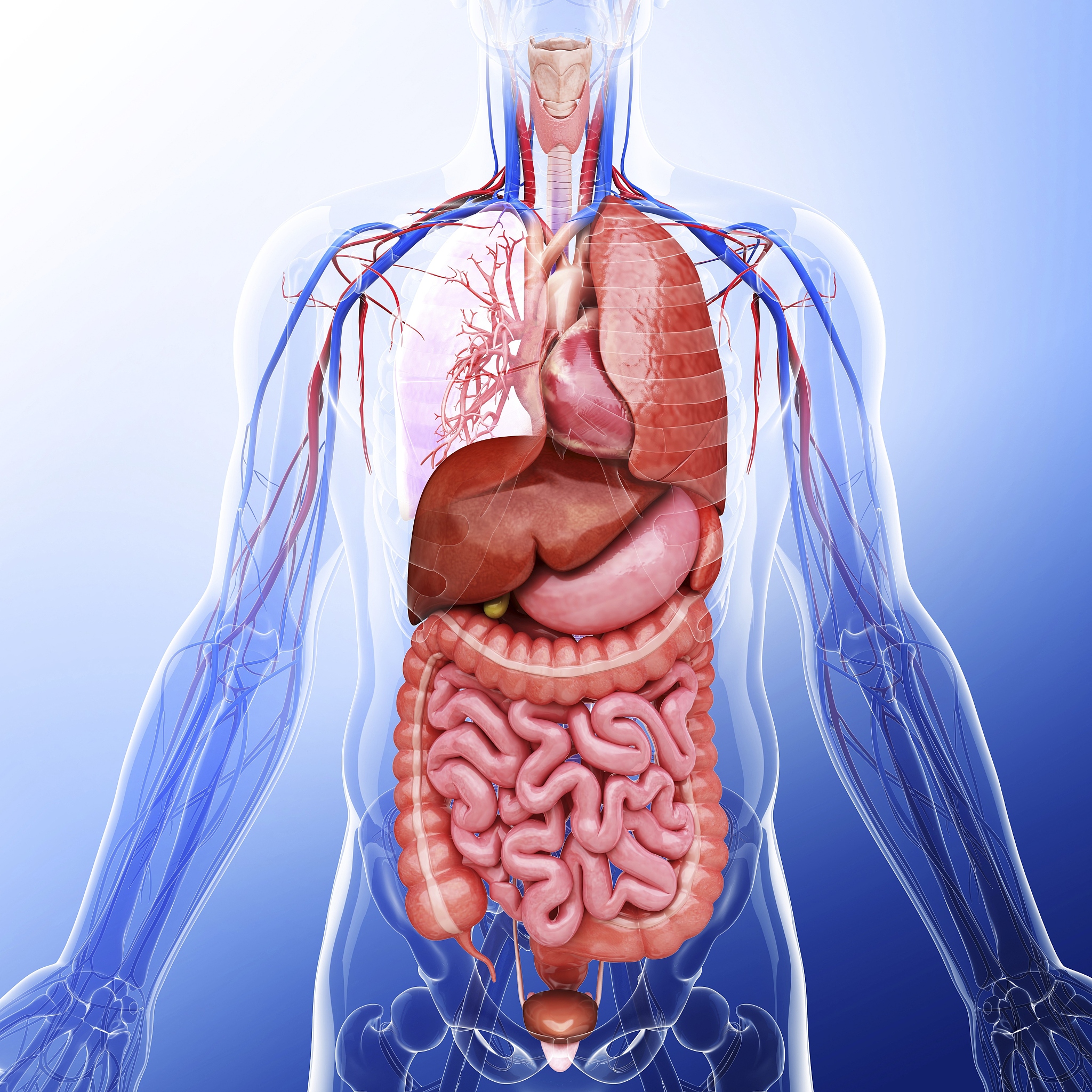 医美新生代:变大变美的生成手术