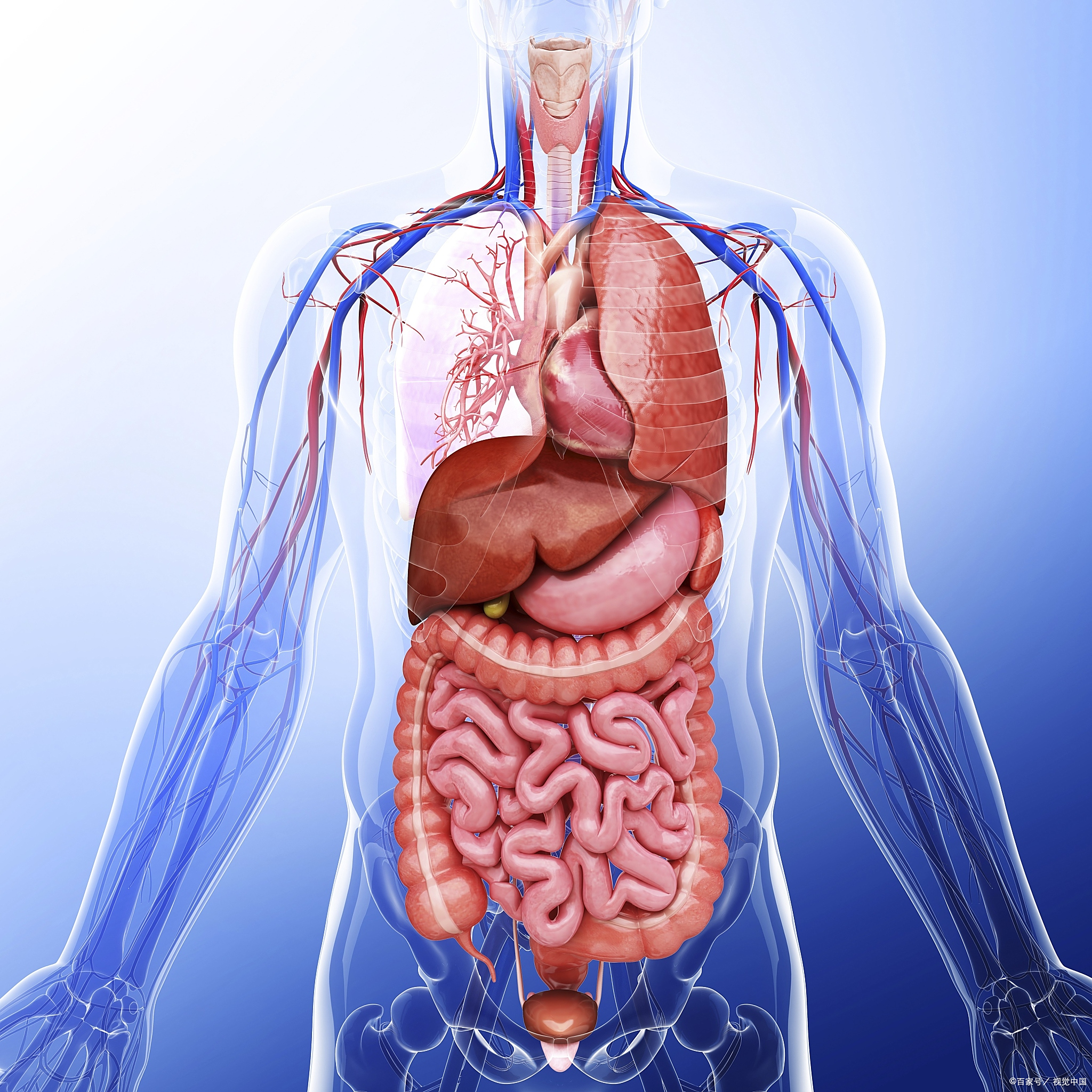 古人早就发现人体藏着神秘"生物钟"