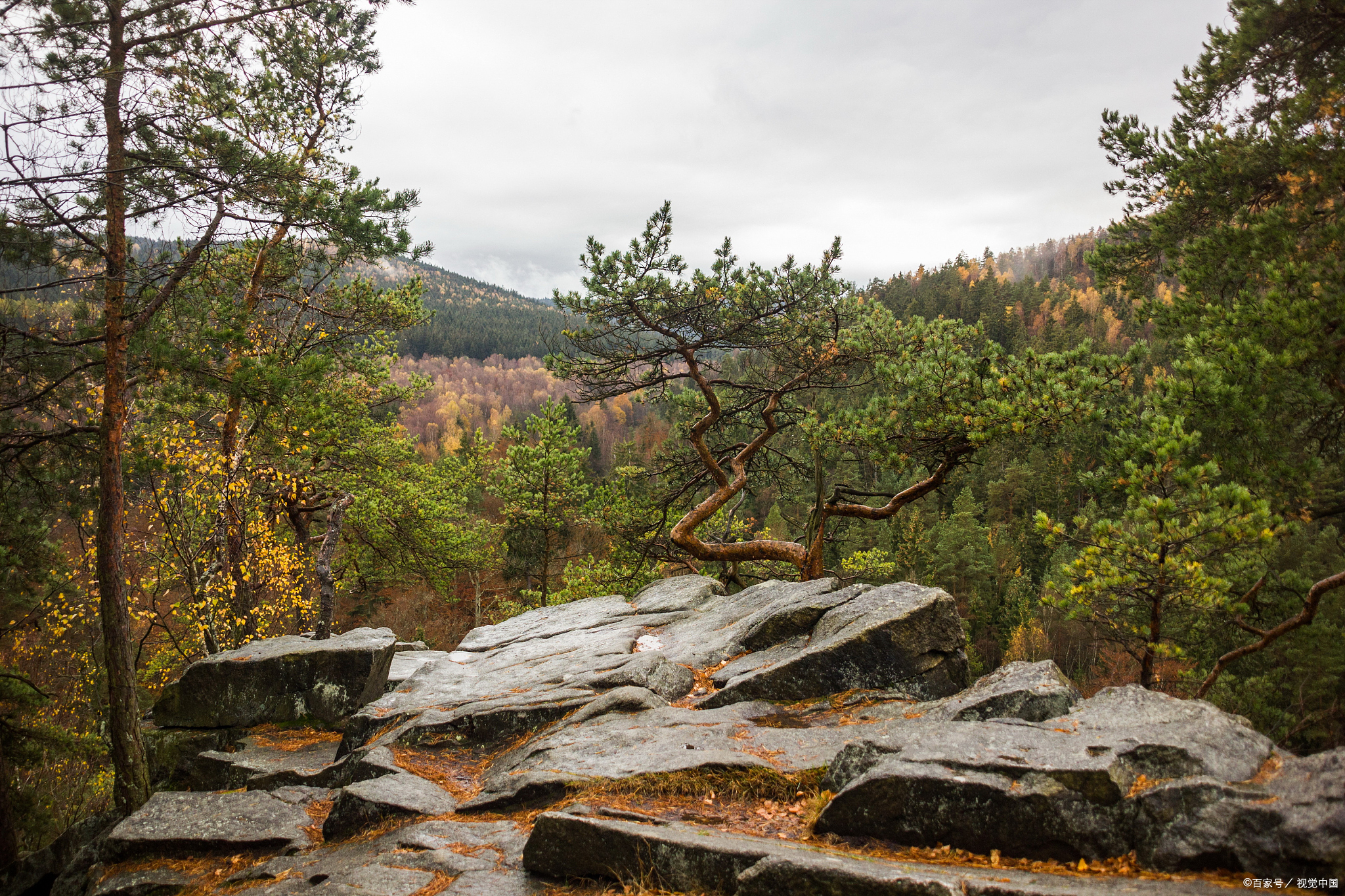 窦王岭,这个古老而又充满神秘色彩的地方,位于中国河北省石家庄市井陉