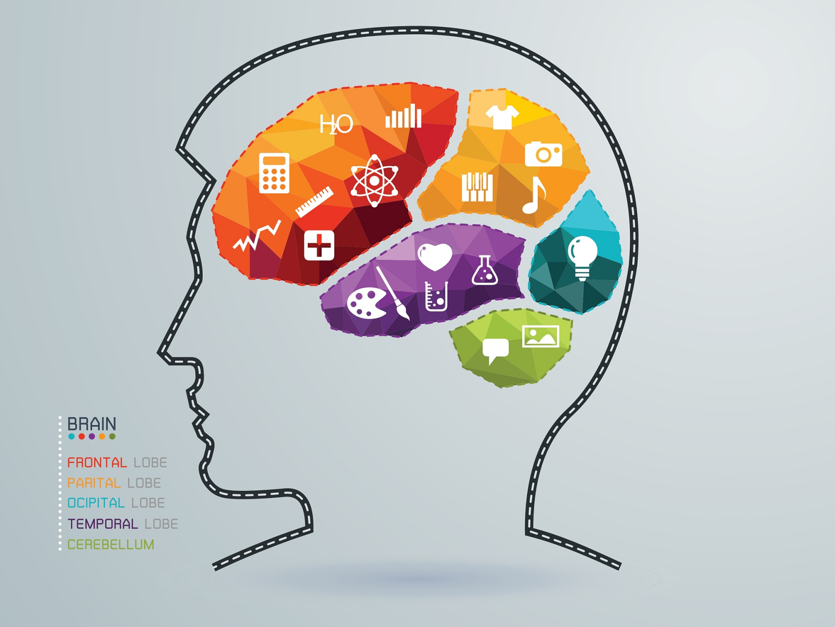 认知功能和记忆力的不可逆性下降是随着年龄增长普遍存在的问题.