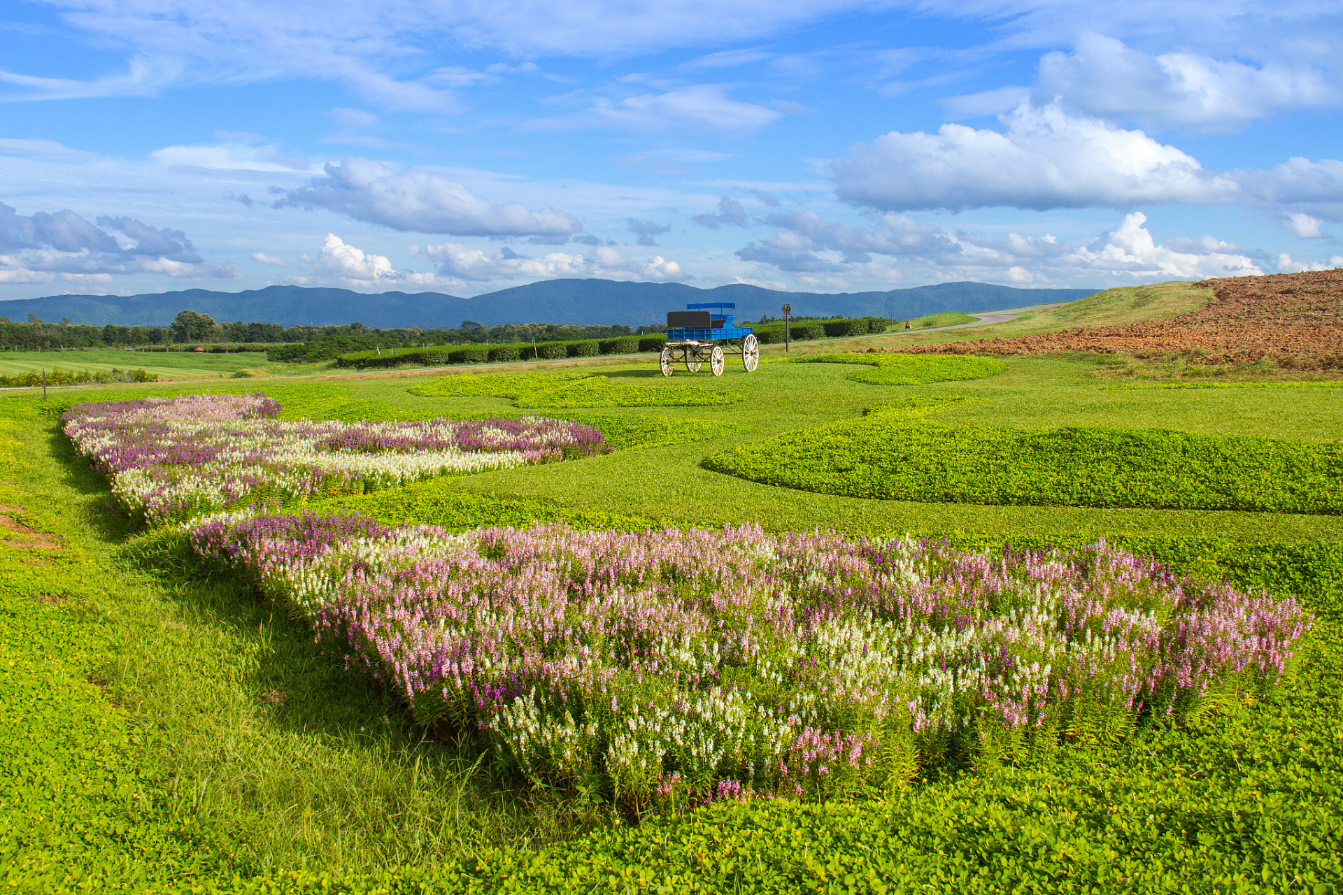 大理花甸坝由大,小花甸组成,坐落在苍山十九峰中最北的云弄,沧浪两峰