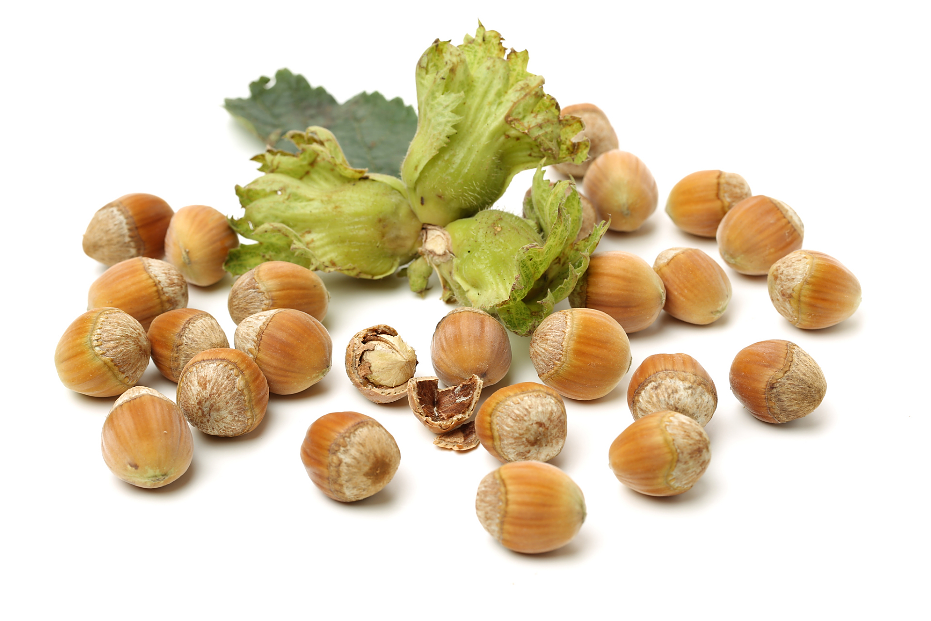 99  记得第一次尝试鲜榛子,是在一个悠闲的下午,朋友送我一袋.