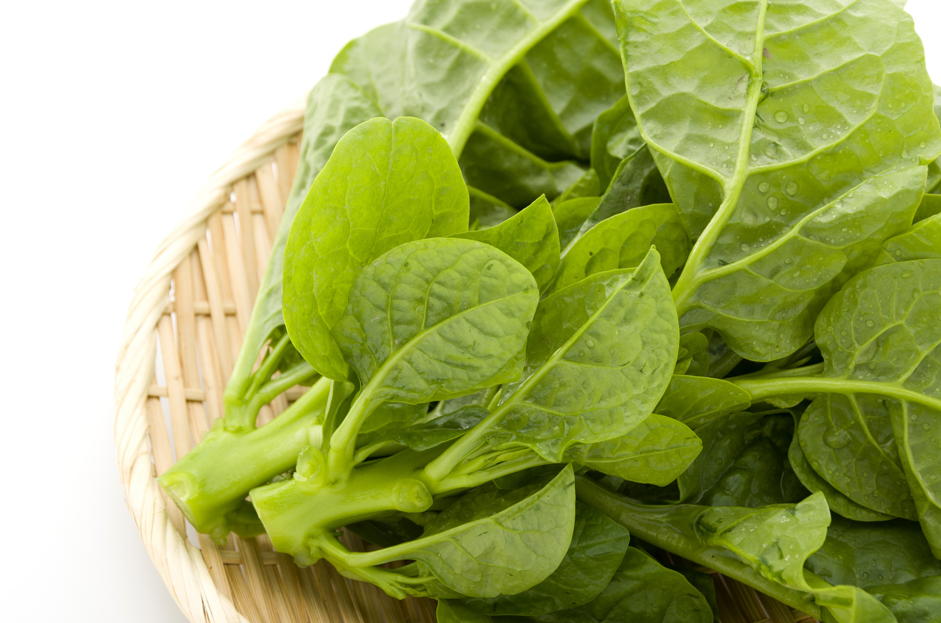 芥菜,这一寻常可见的蔬菜,在中华的饮食文化中占有一席之地.