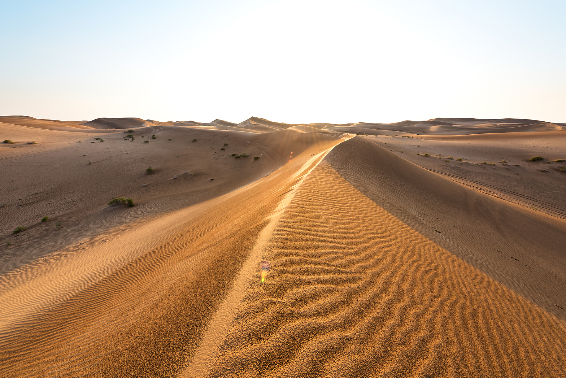 阿拉善盟位于内蒙古西部,是一个融合多种自然与文化景观的旅游胜地.