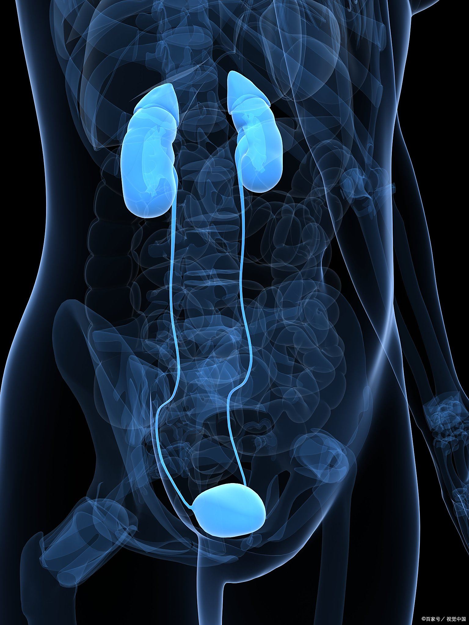 肾下垂别慌!5招稳住你的「小蛮腰」