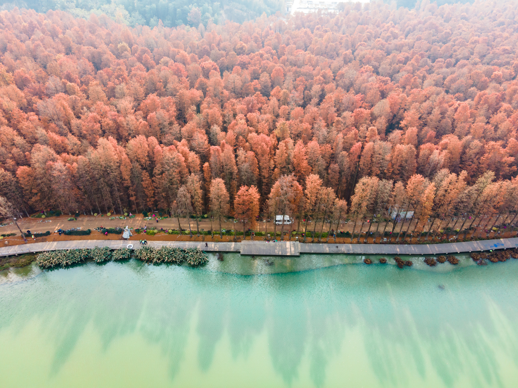 炎炎夏日,杭州的绿色胜地不止西湖.青山湖水上森林是你必访之处!