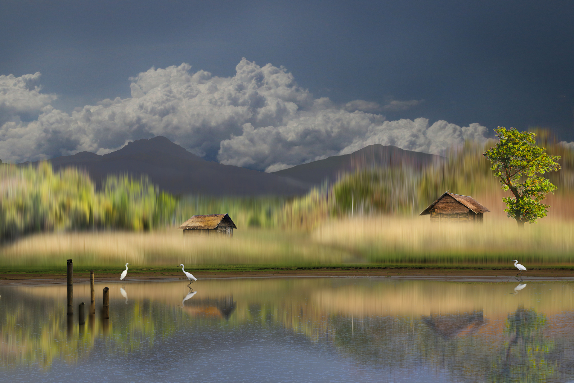 使用超广角镜头拍摄风光照片时,需要注意以下细节以获得令人满意的