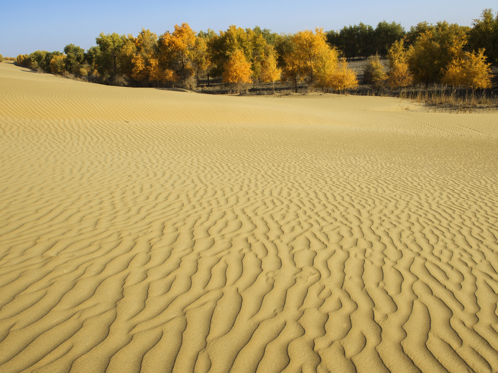 比如按照热量差异,可分为热带沙漠,温带沙漠,极地沙漠;按照颜色差异