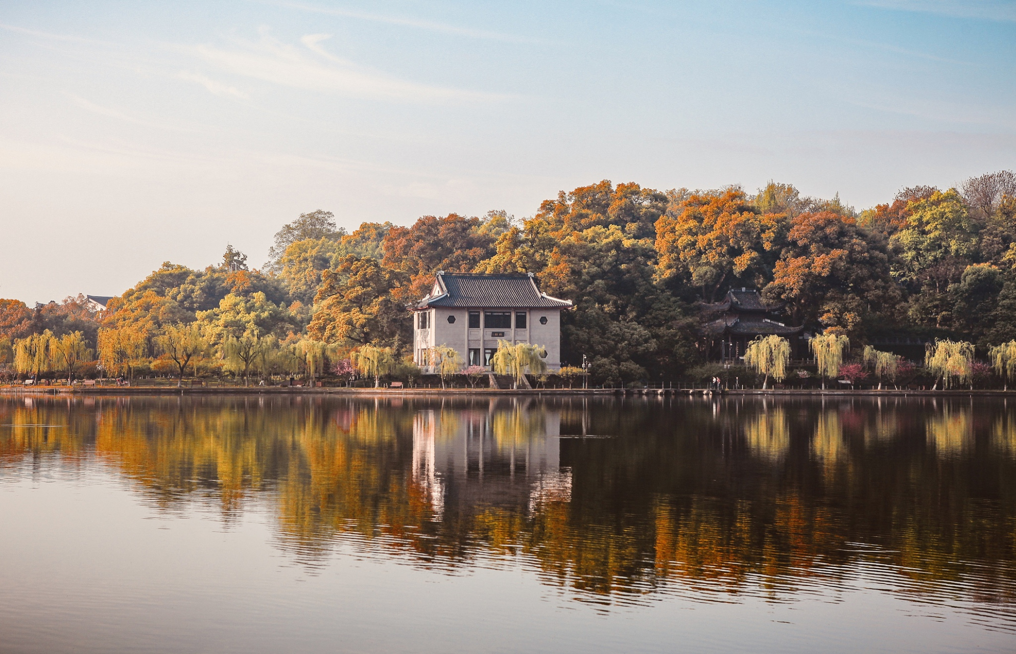 湖光山色共长天  每当夜幕降临,我总会不禁想象福州西湖的美景