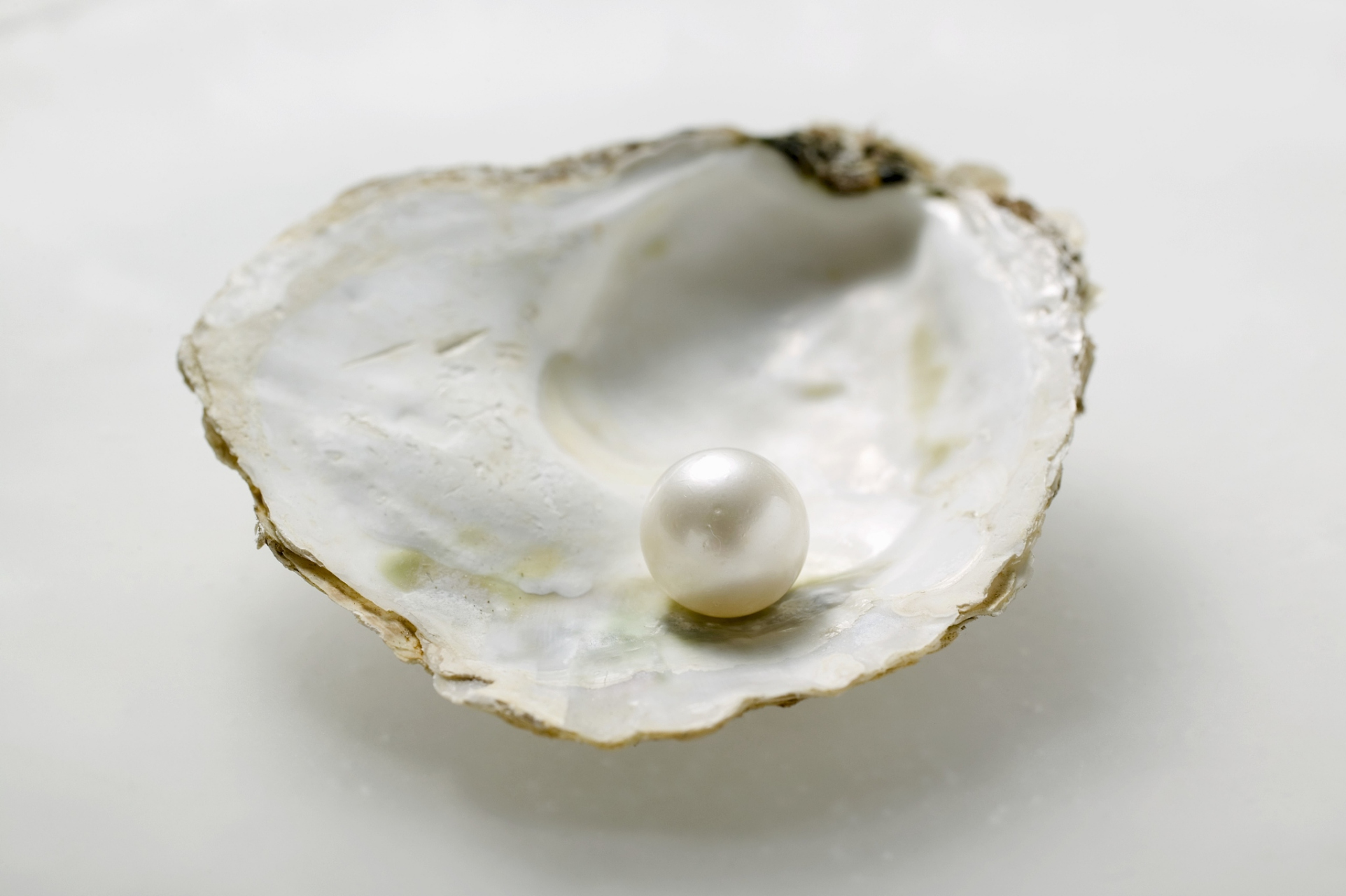 淡水珍珠的形成源于一颗微小的沙粒或寄生虫进入贻贝体内成为珠核.