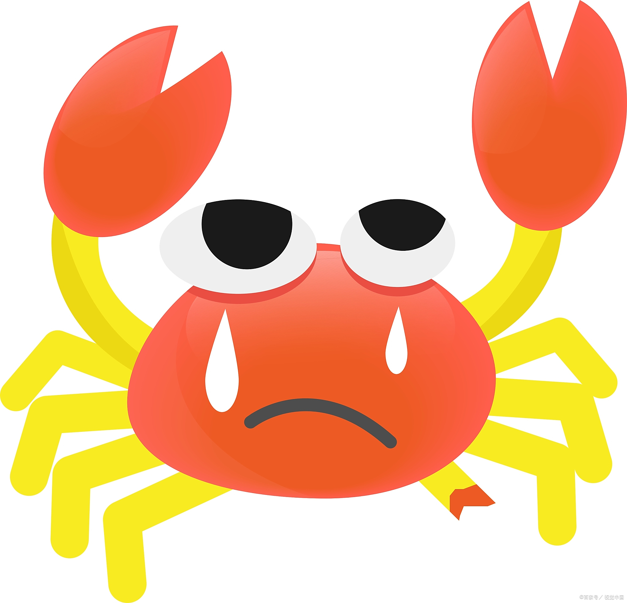 揭秘:小螃蟹的水中生存法则