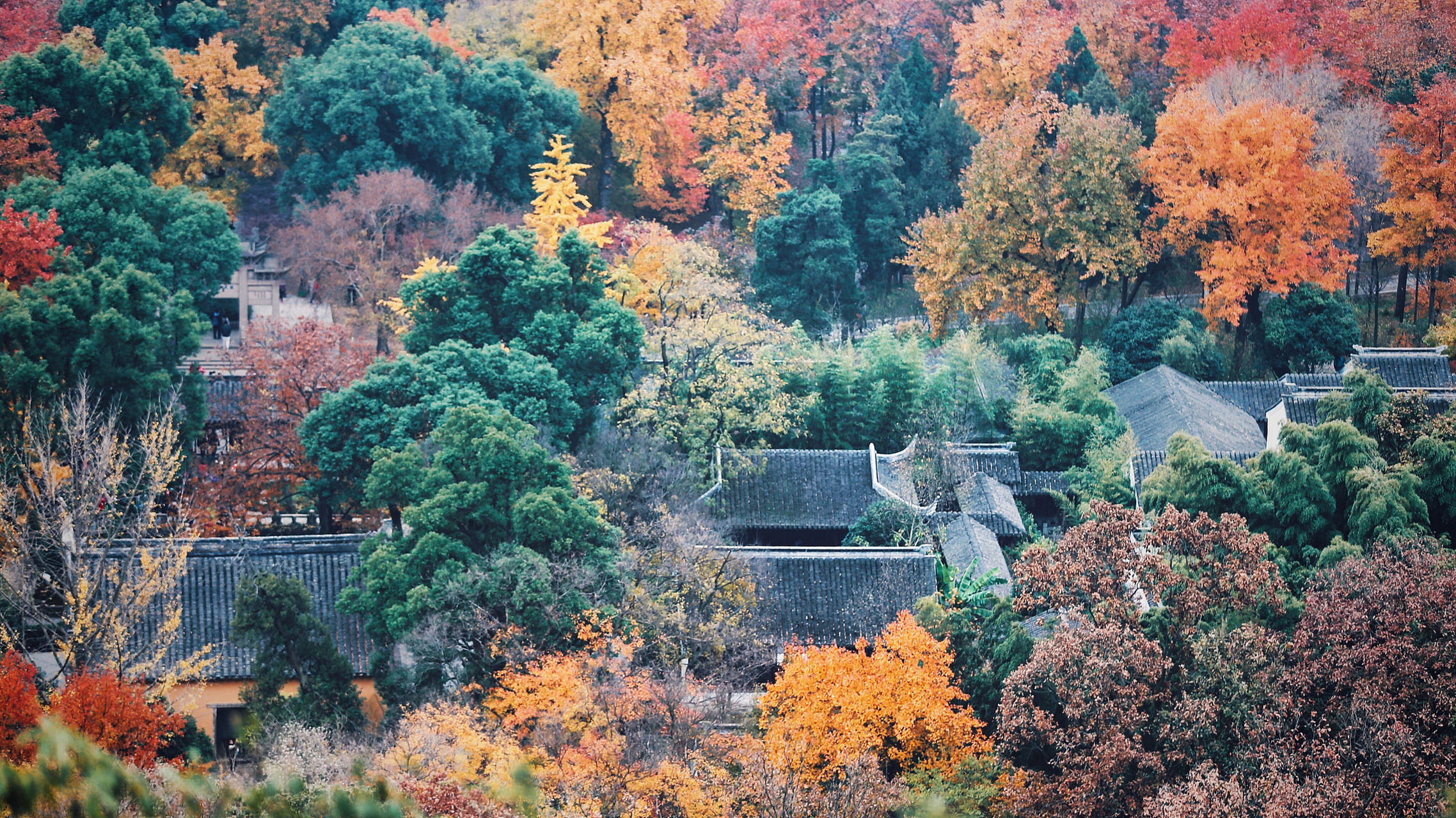 栖霞山风景区位于南京市栖霞区,是国家aaaa级旅游景区,被誉为"金陵第