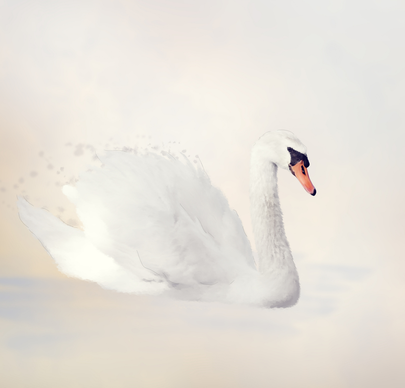 [大哭] in the world of crows, swans are also guilty!