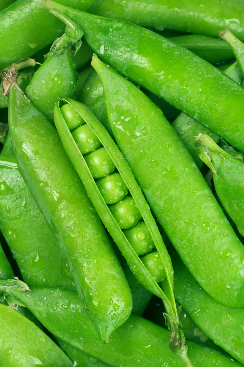 因此,适合立秋食用的美食应该具有滋润,温补,养肺等功效.