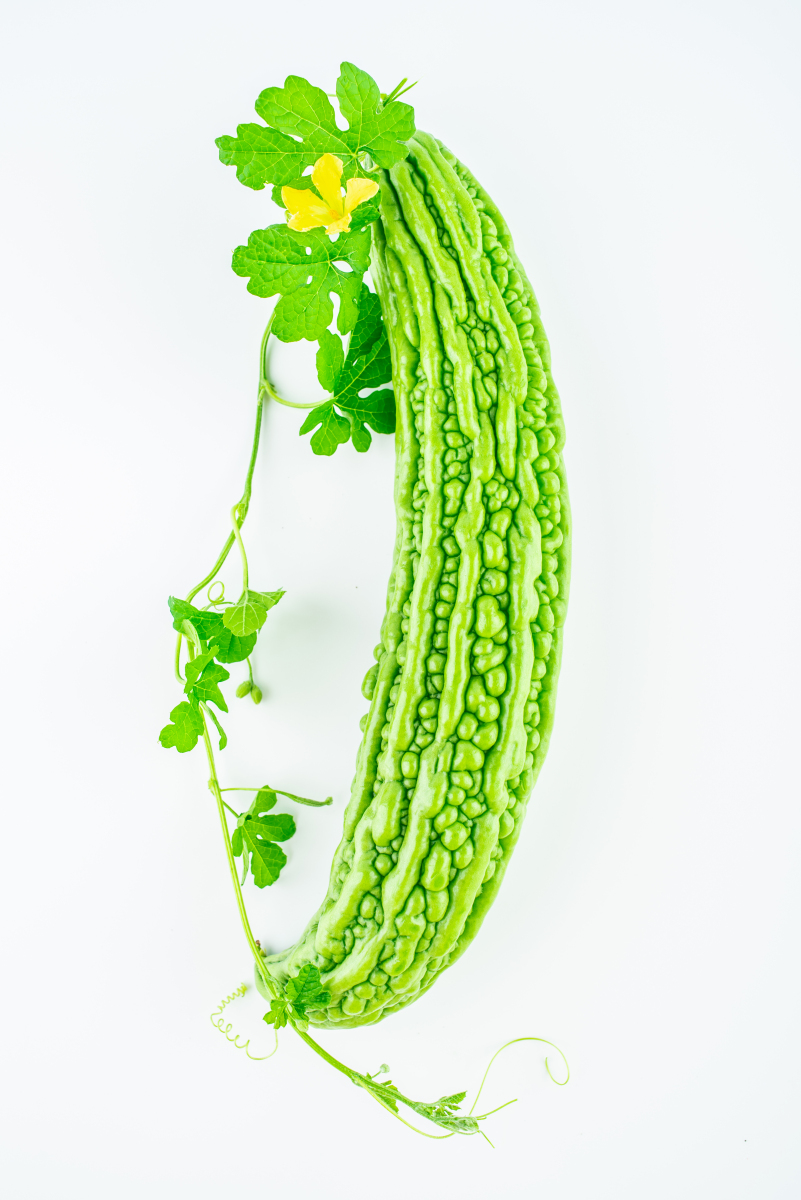 苦瓜图片大全大图