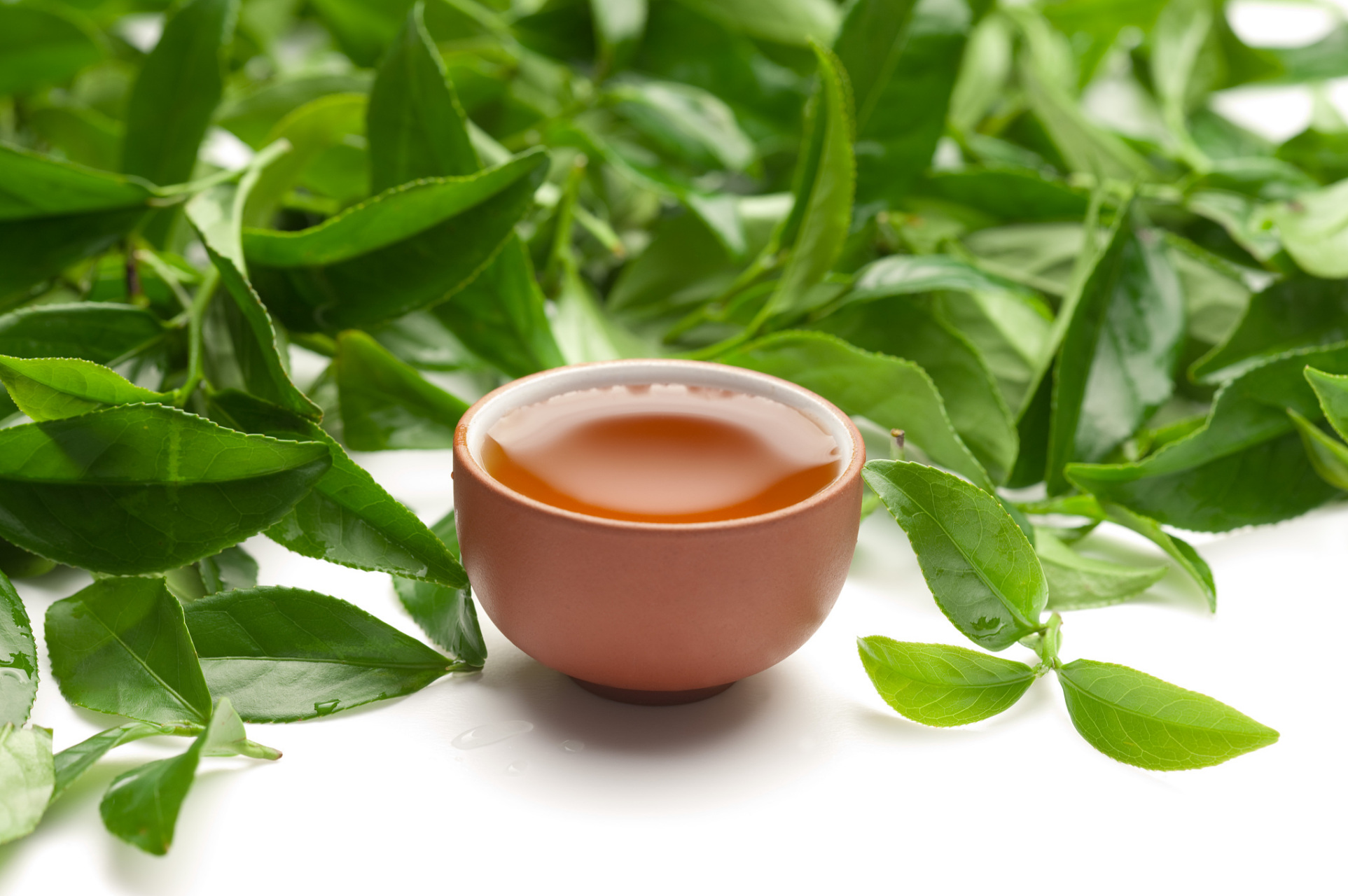 今天是8月12日星期六 阳光明媚,心情舒畅 慵懒的午后,一杯清茶,一本