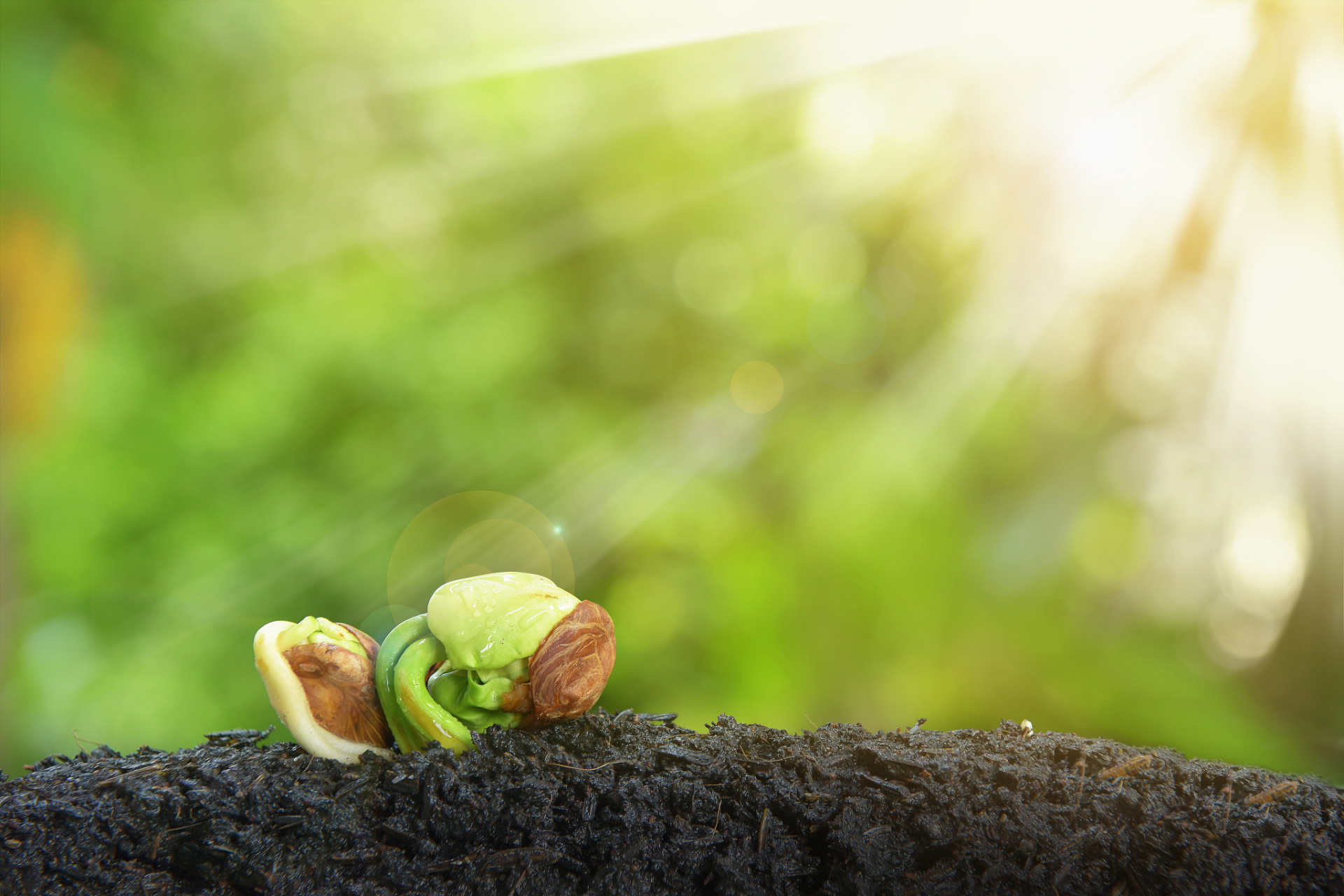 起心动念皆是因,当下所受皆是果!