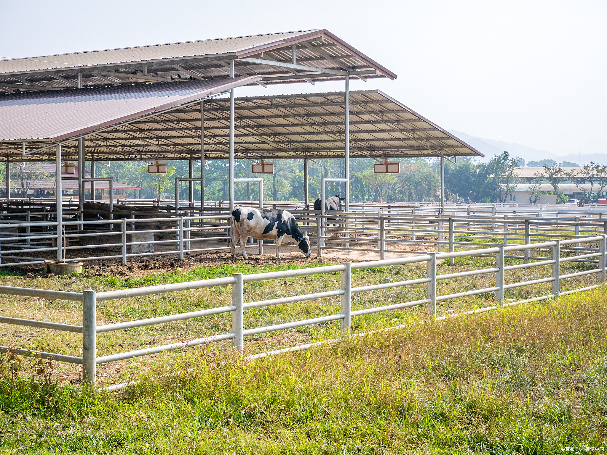 种养结合-山地立体农业新模式你了解多少?