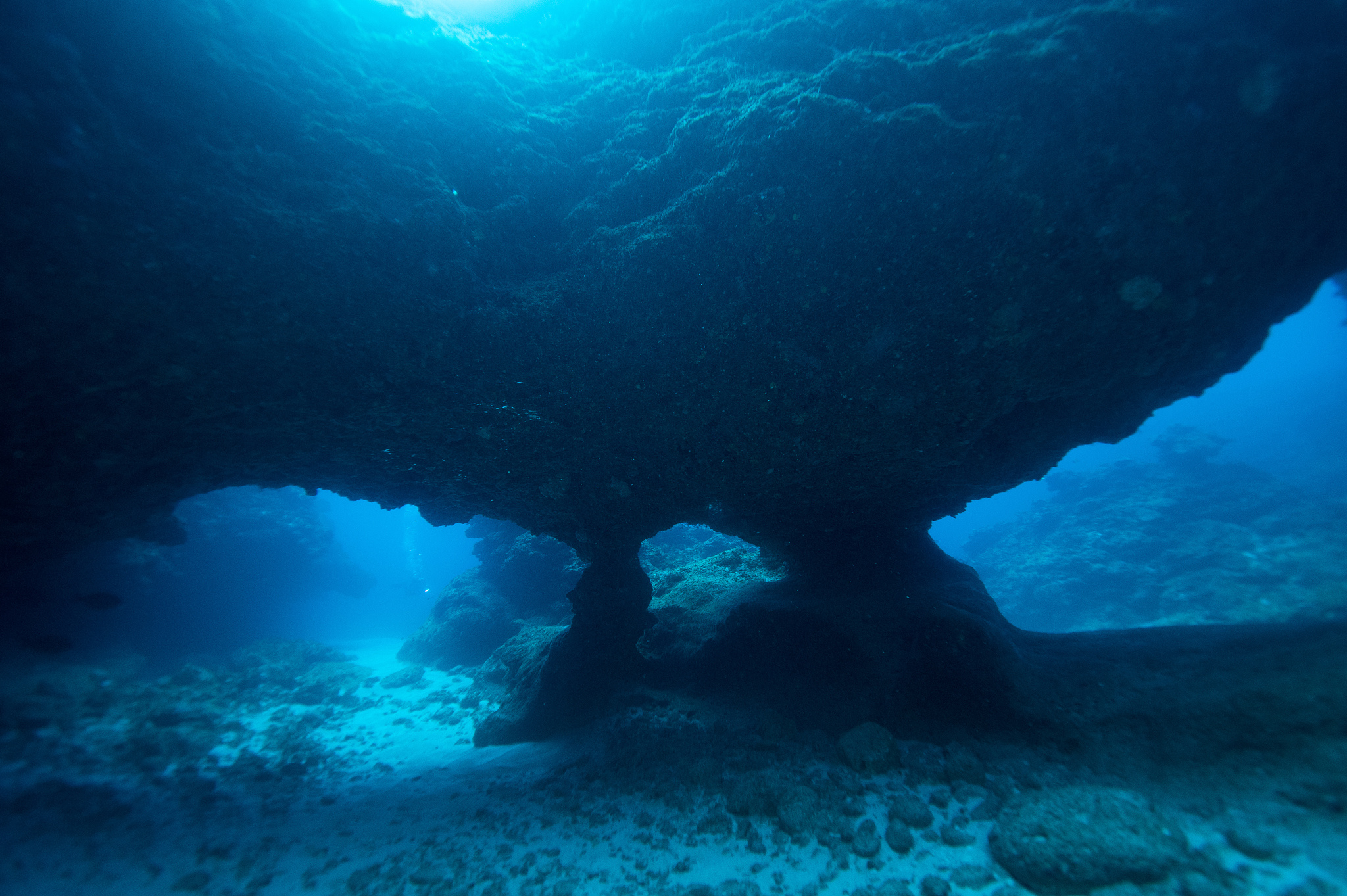 近日,日本研究团队在宫城县近海日本海沟水深约7500米的海底发现了一