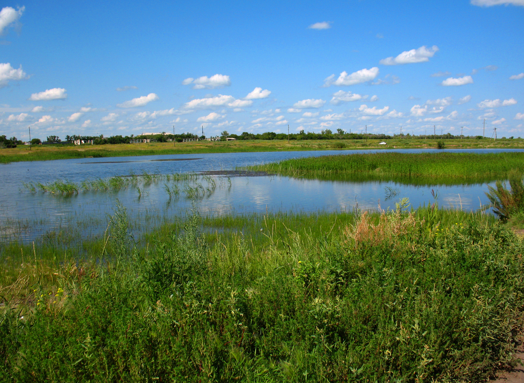秋日,是哈巴湖生态观光旅游区的绝美季节.