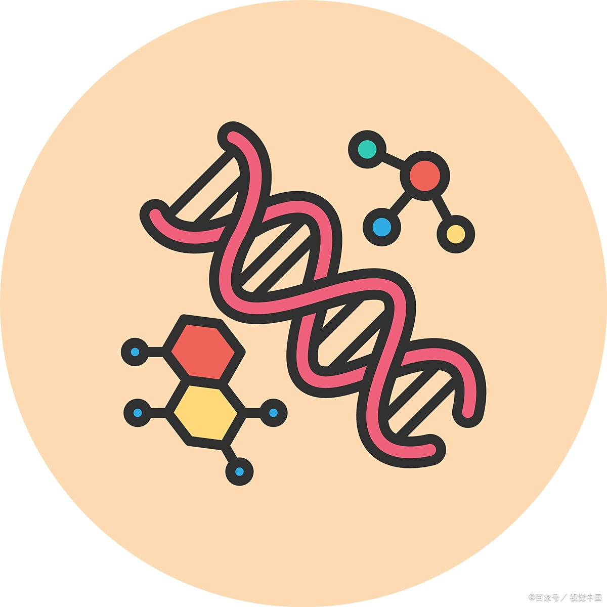 人类寿命为何短暂?新基因发现与 crispr 技术揭示长寿密码