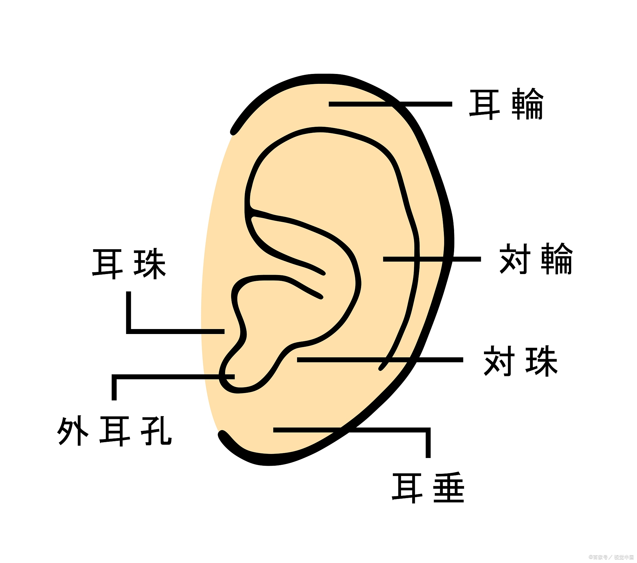 科普|让人眩晕的“石头”——耳石症