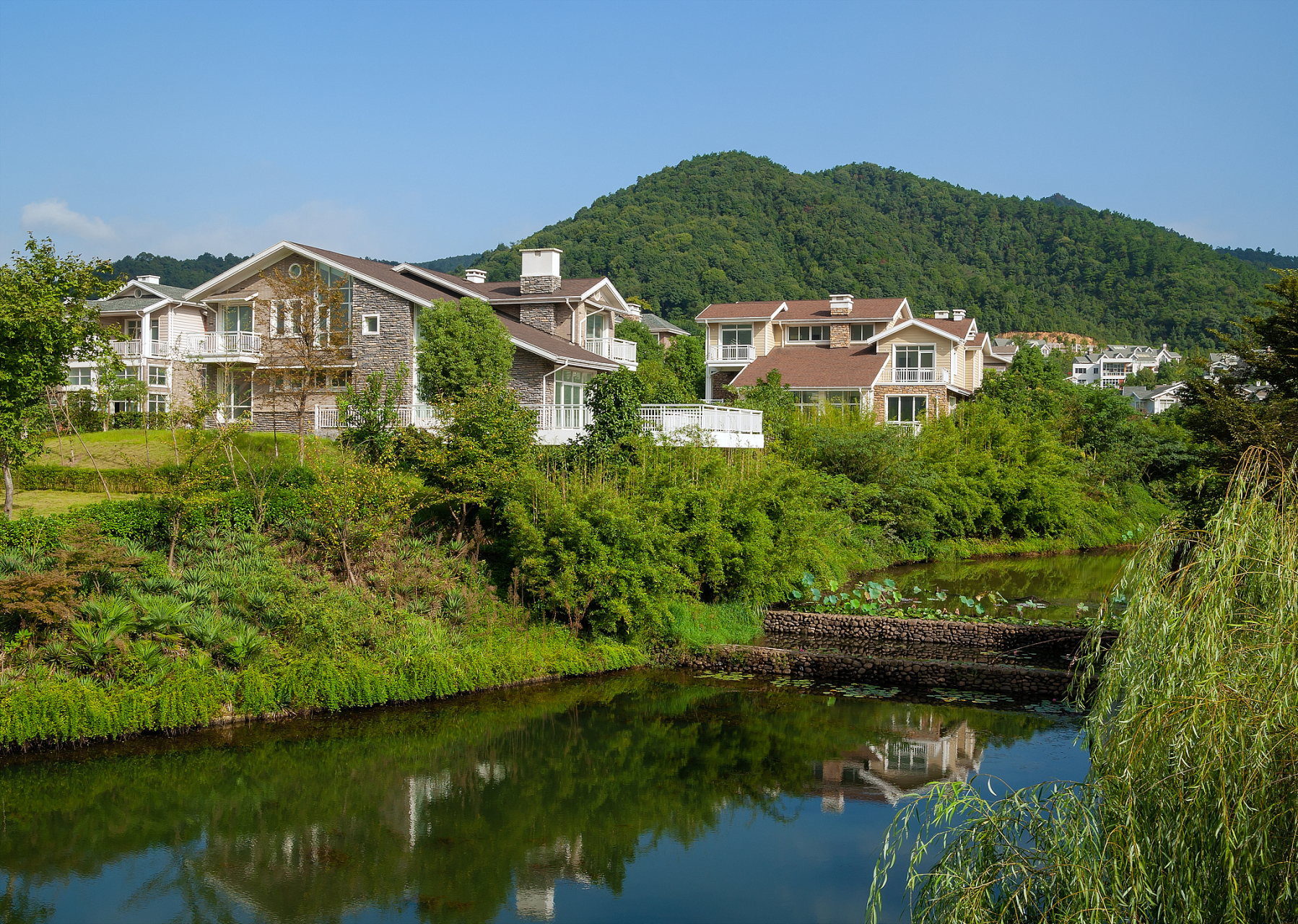 我最近去了德清县莫干山镇西源山庄度假,真的是太棒了!