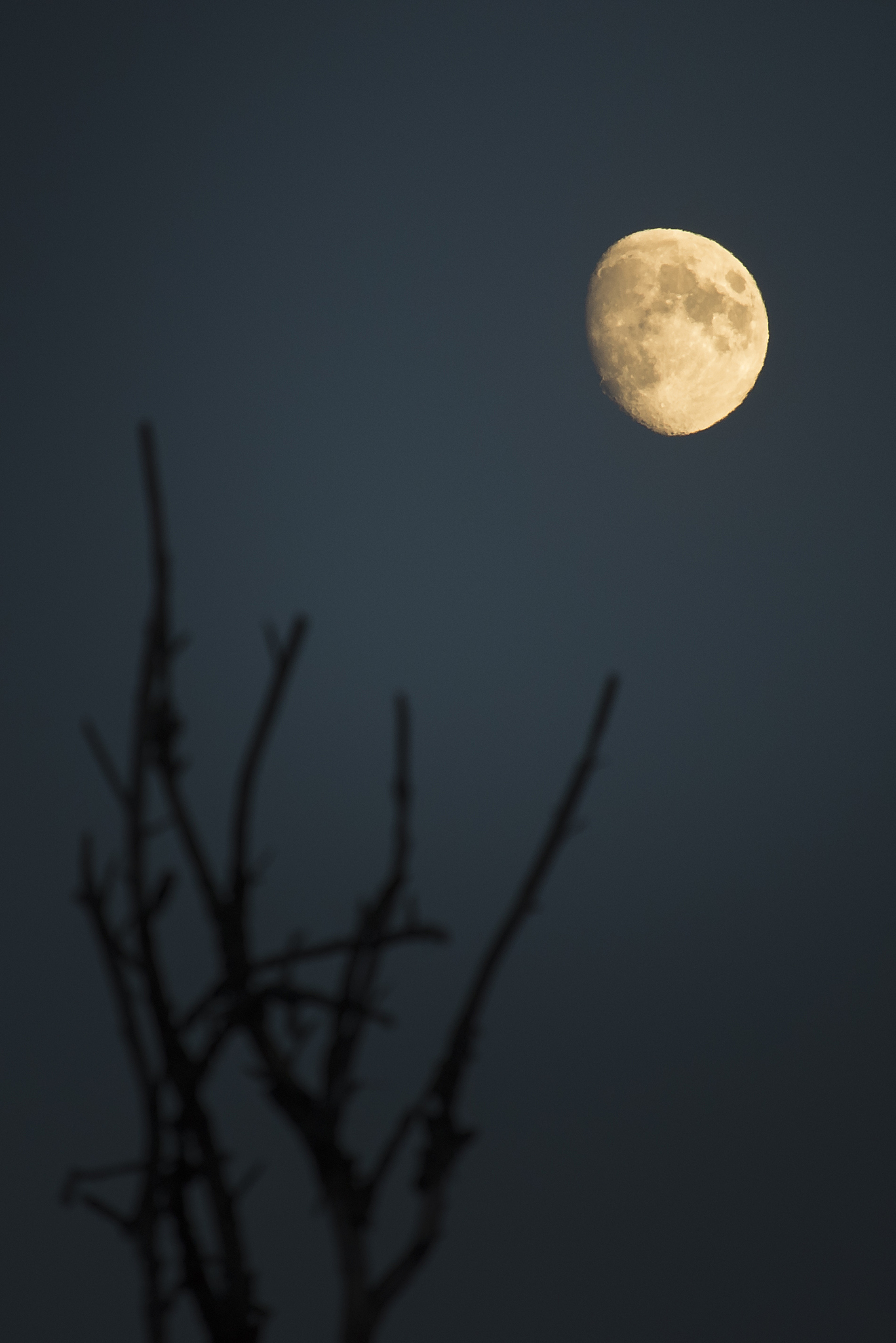 夜晚举头望月孤独图片图片