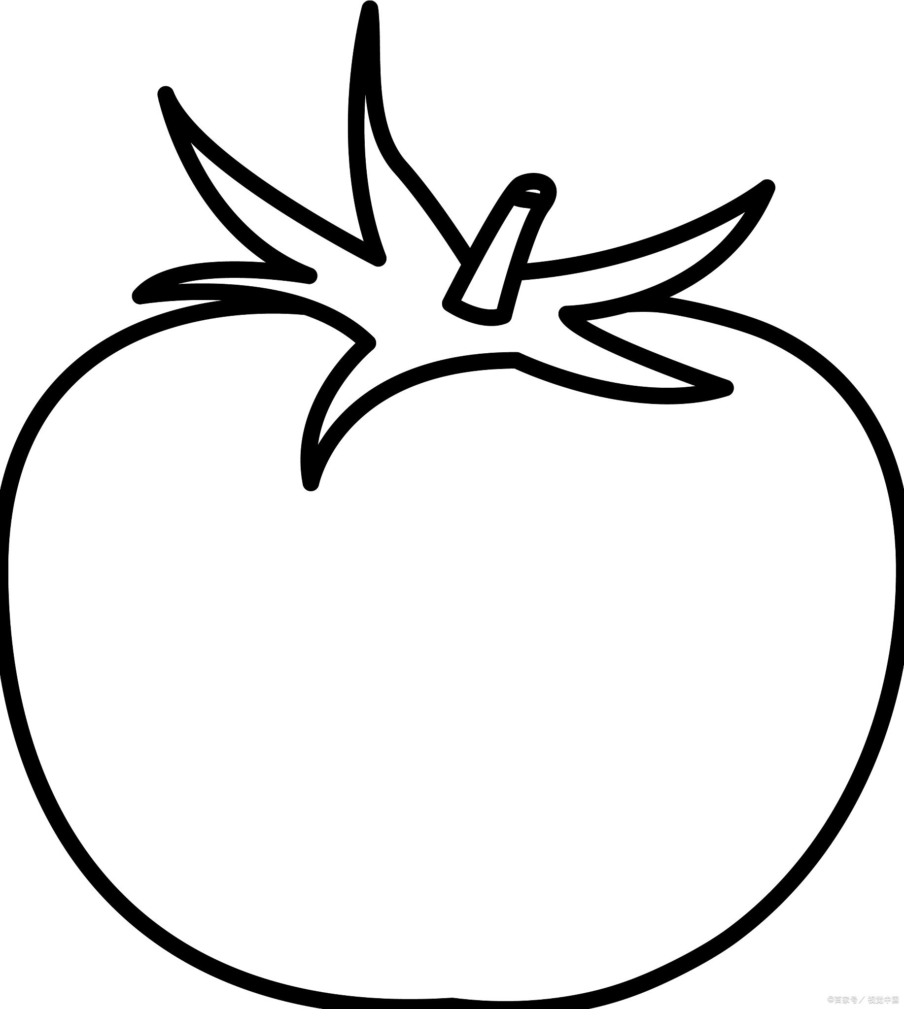 简笔画西红柿的绘制方法
