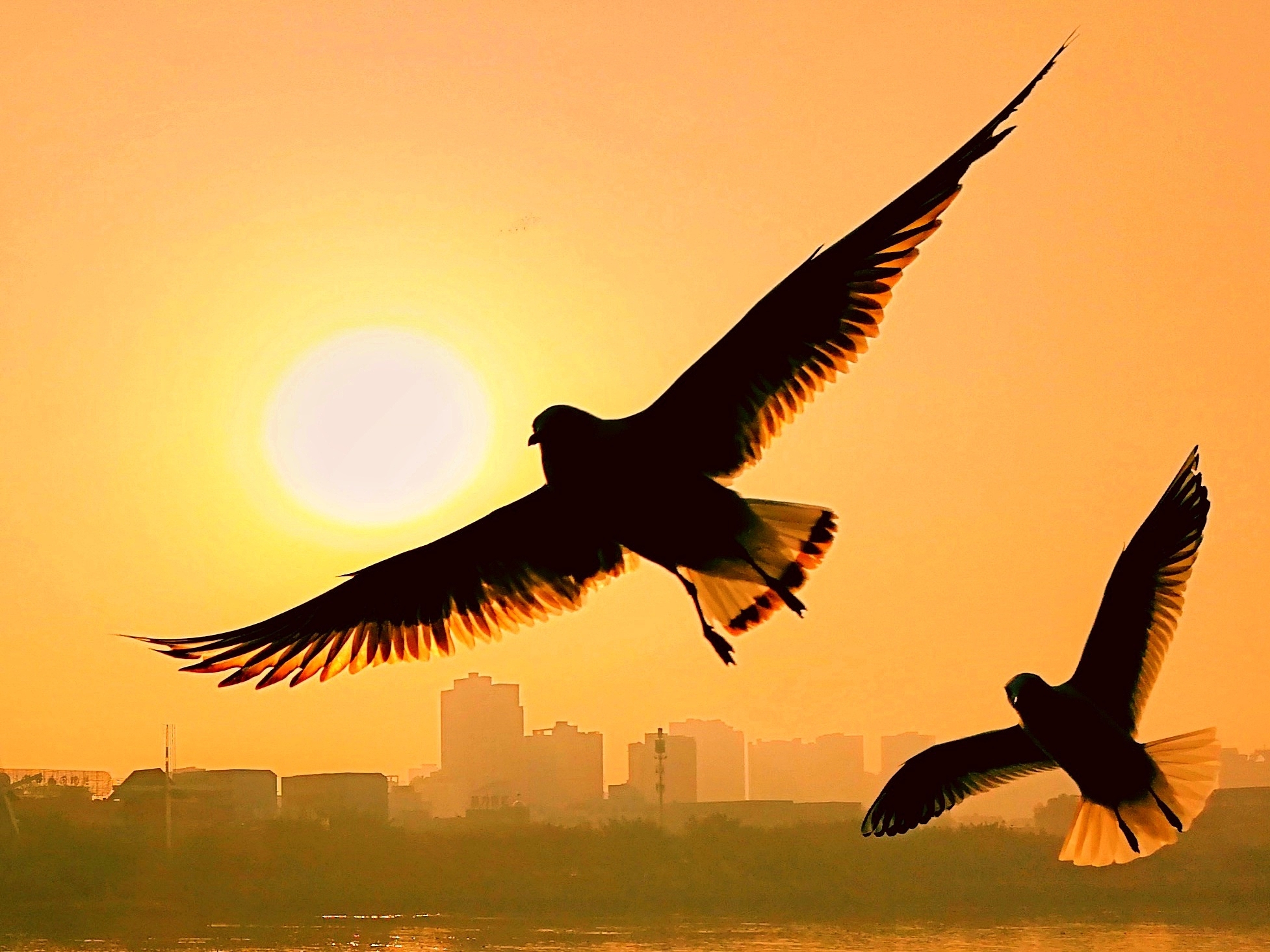 有心无力怎重塑. 春蚕奉献丝方尽. 破茧成蝶九重生