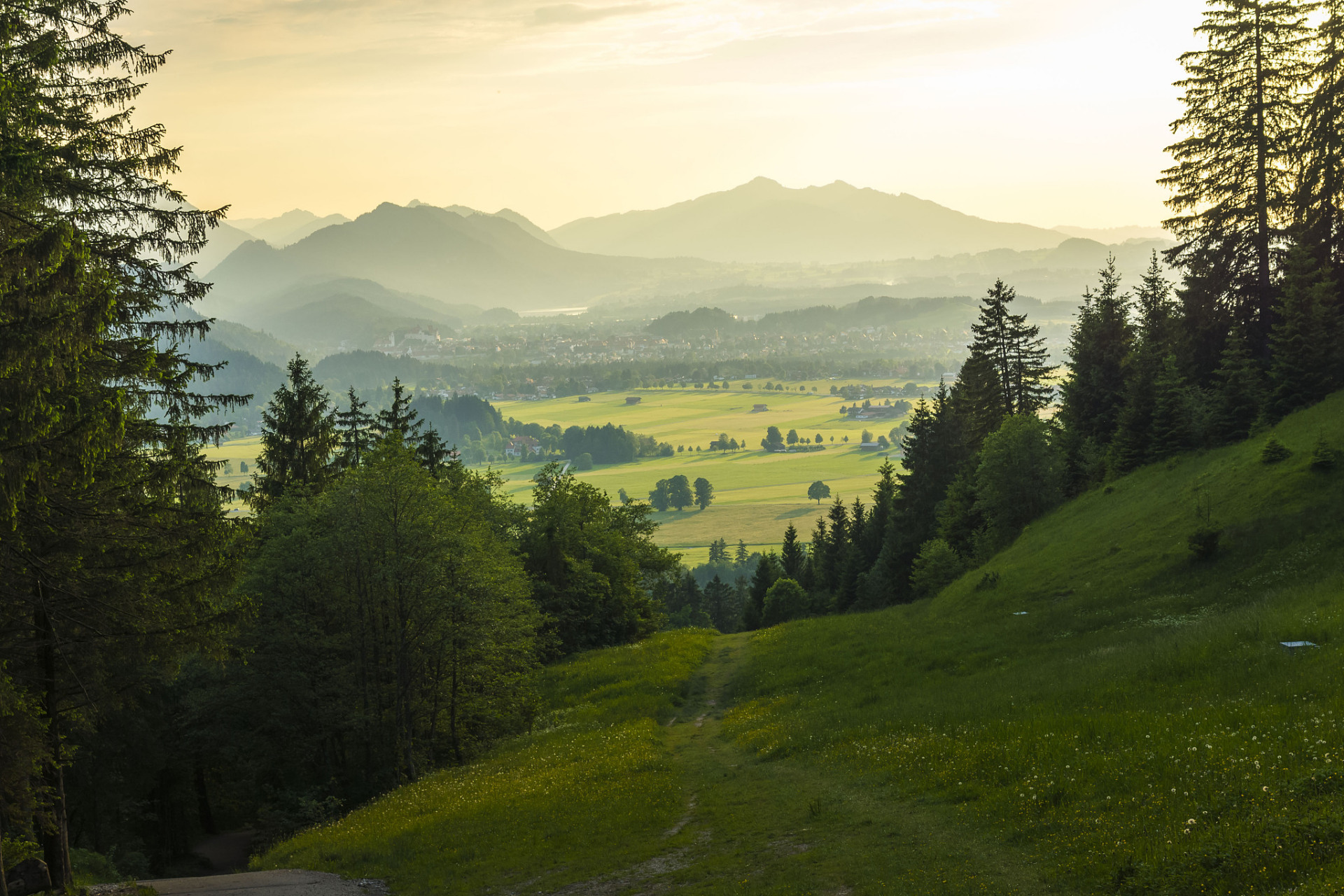 山谷 作者:一念行者 山谷中微风拂荡,我坐在石头上, 花朵静静的开放