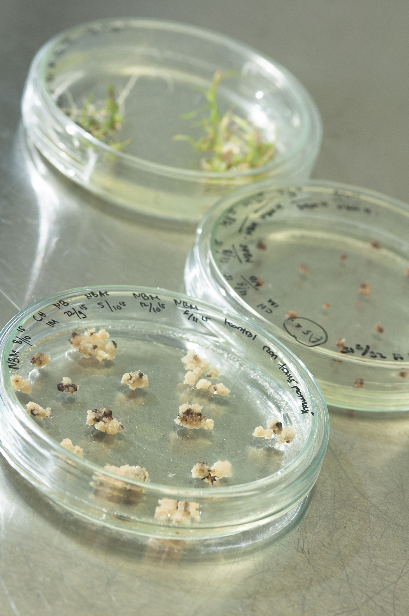 西测测试：公司环境可靠性试验中的霉菌试验、盐雾以及电磁兼容均可以为海工装备提供相