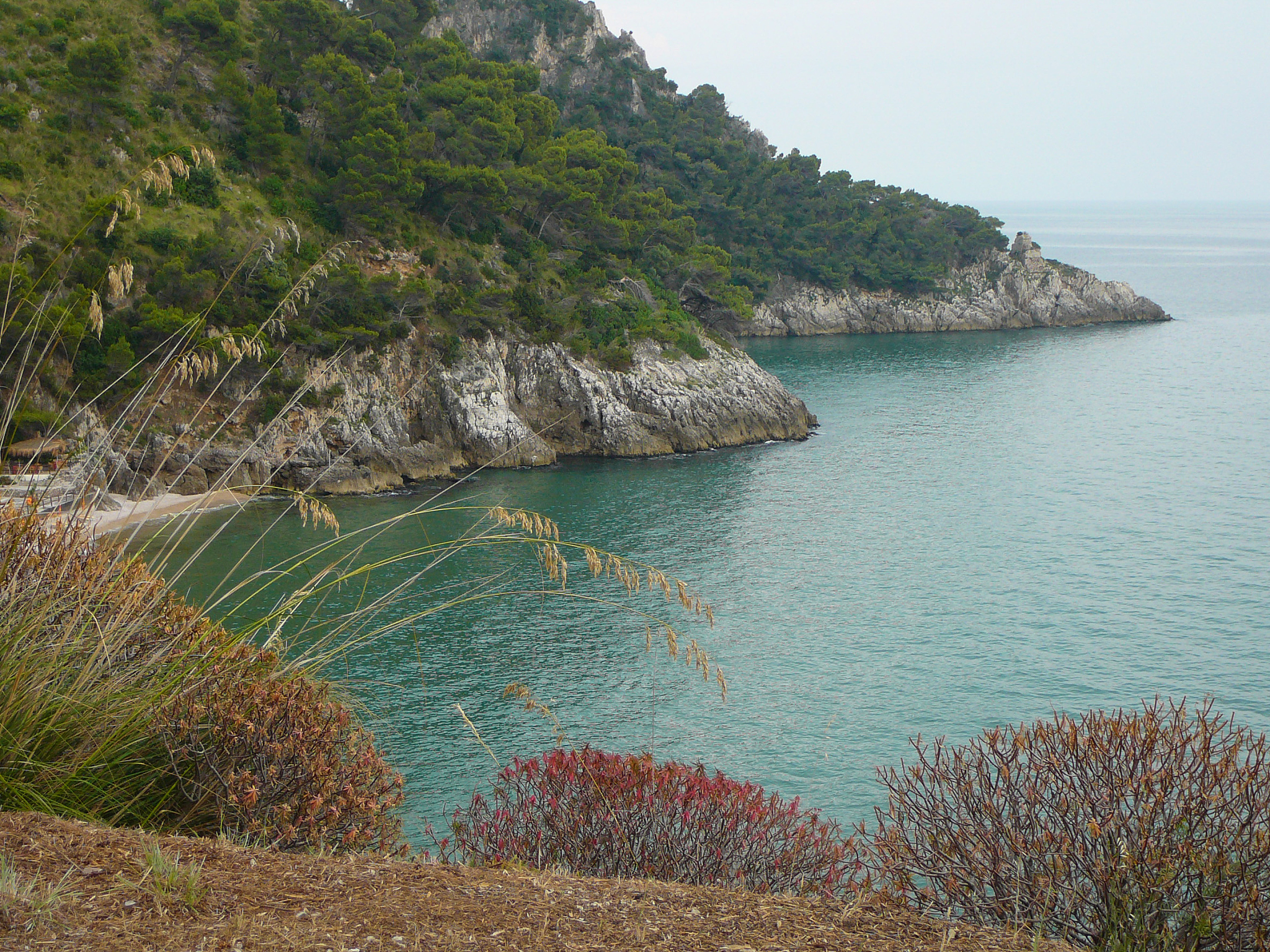 游大连哈仙岛,我的初秋海岛探险 初秋的清晨,阳光透过薄雾,温柔地唤醒