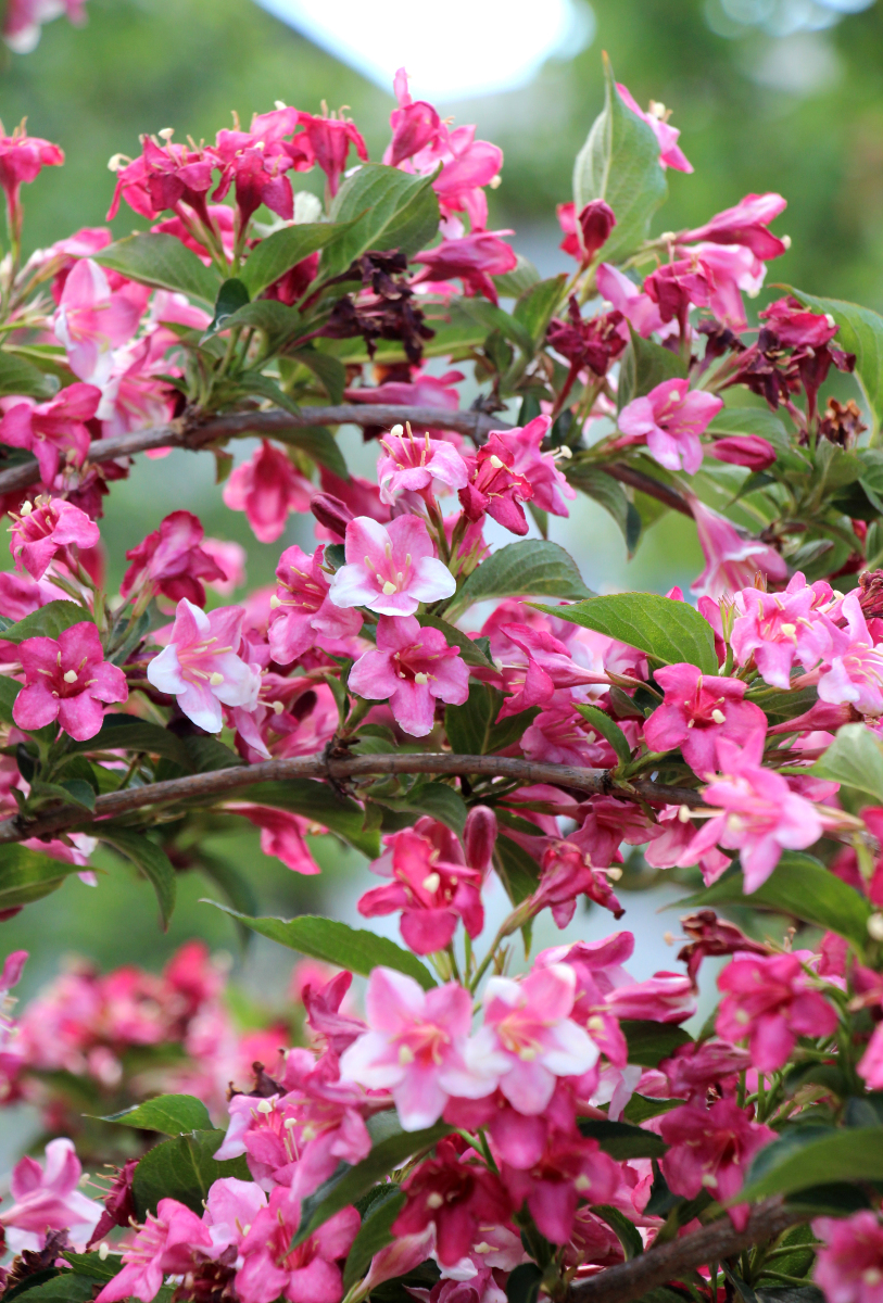 这个男孩很懂事也很上进我很喜欢他