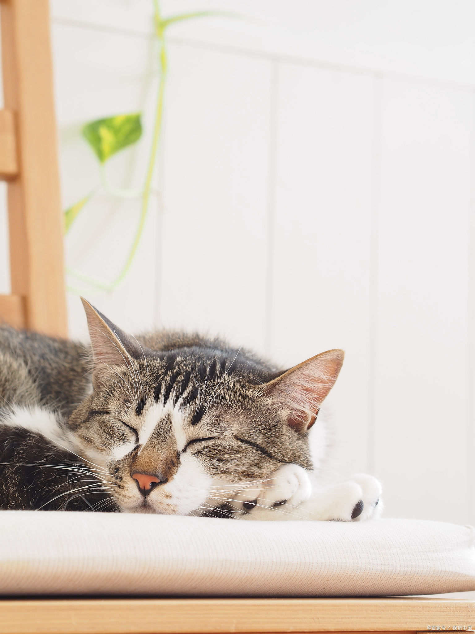 休息也是好的锻炼方式!