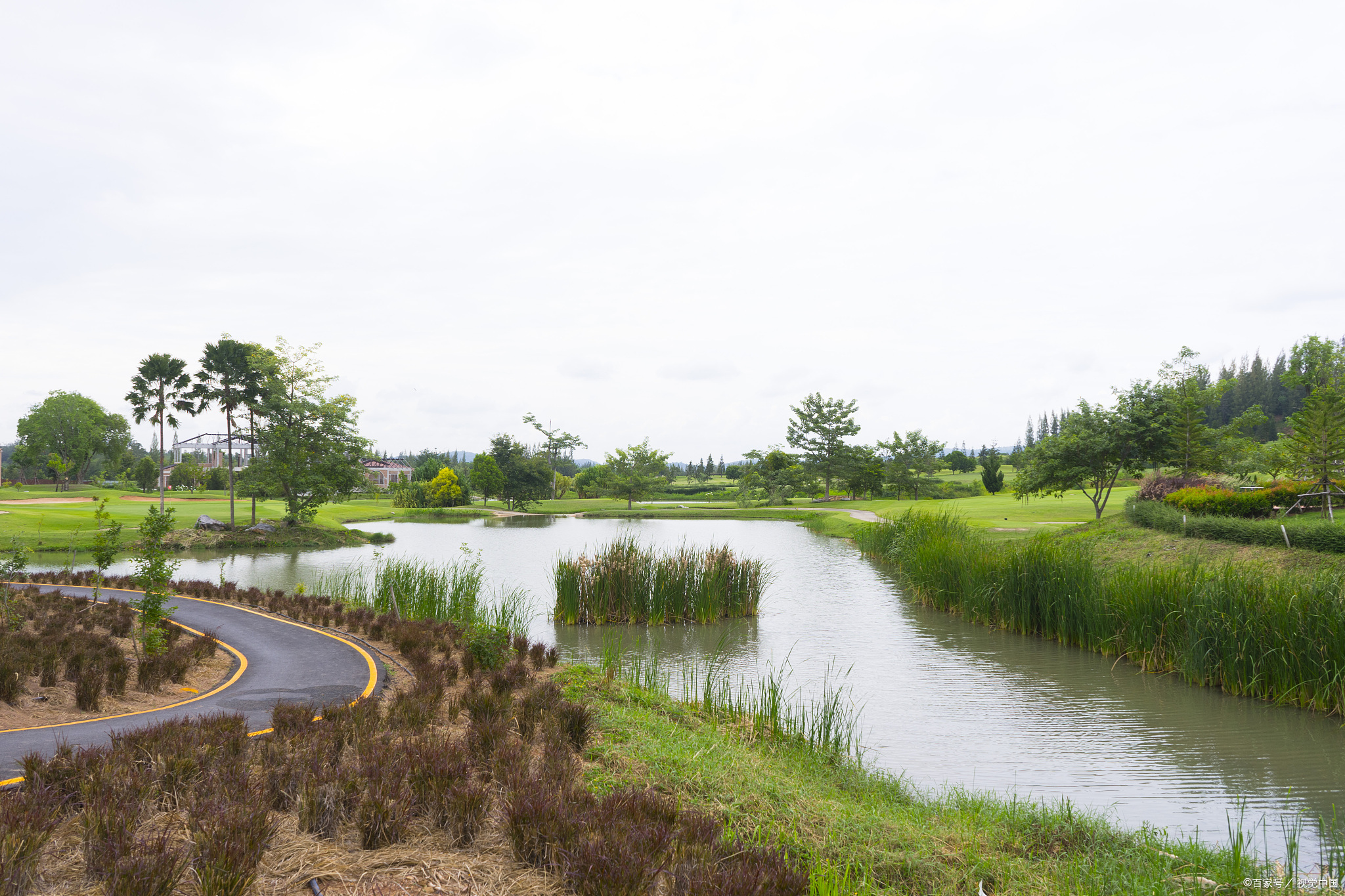 上海东滩湿地公园,给您惊喜